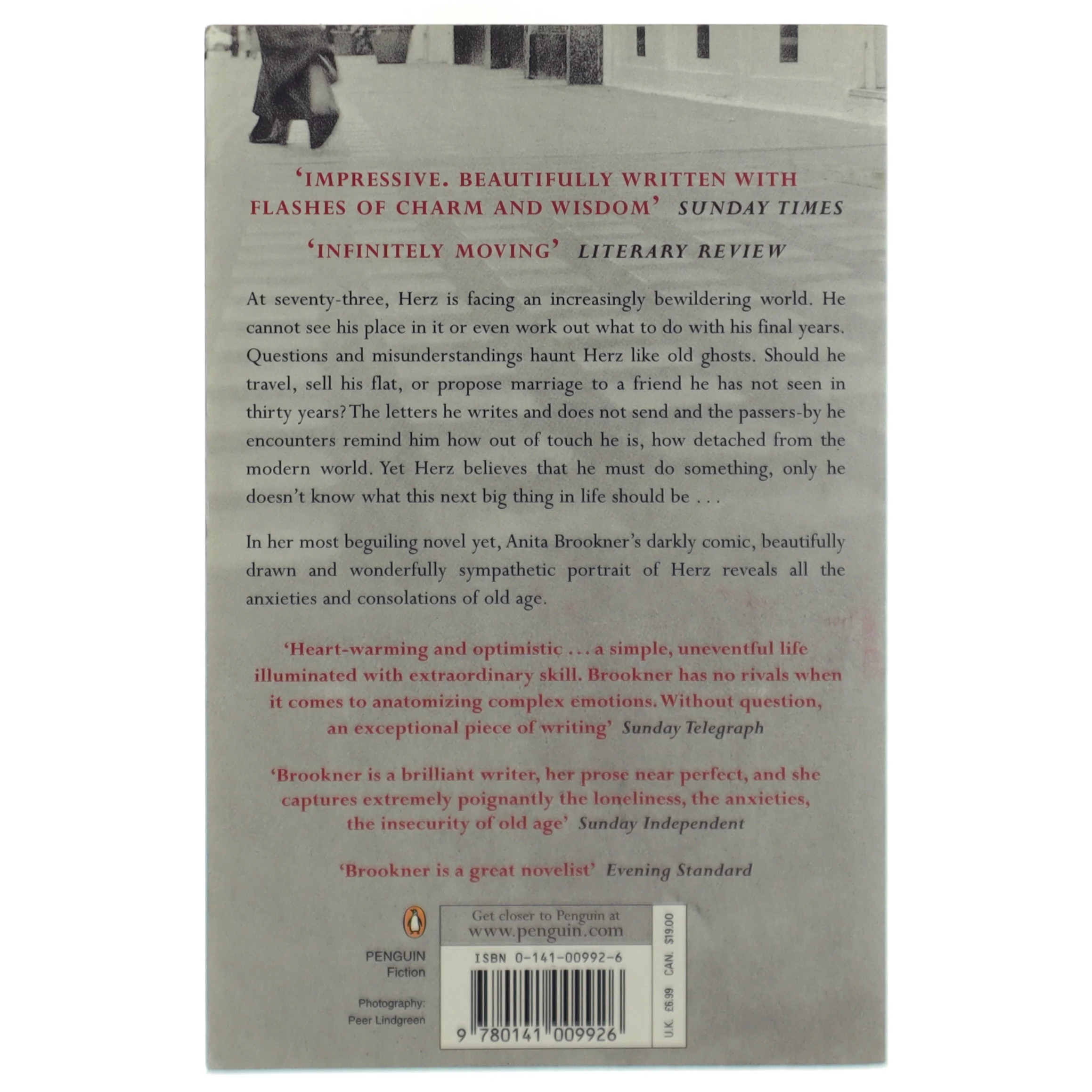 The next big thing af Anita Brookner (Bog)