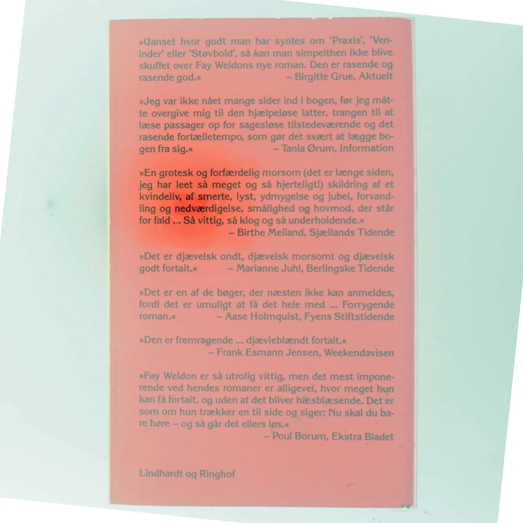 En hun-djævels bekendelser af Fay Weldon fra Lindhardt og Ringhof