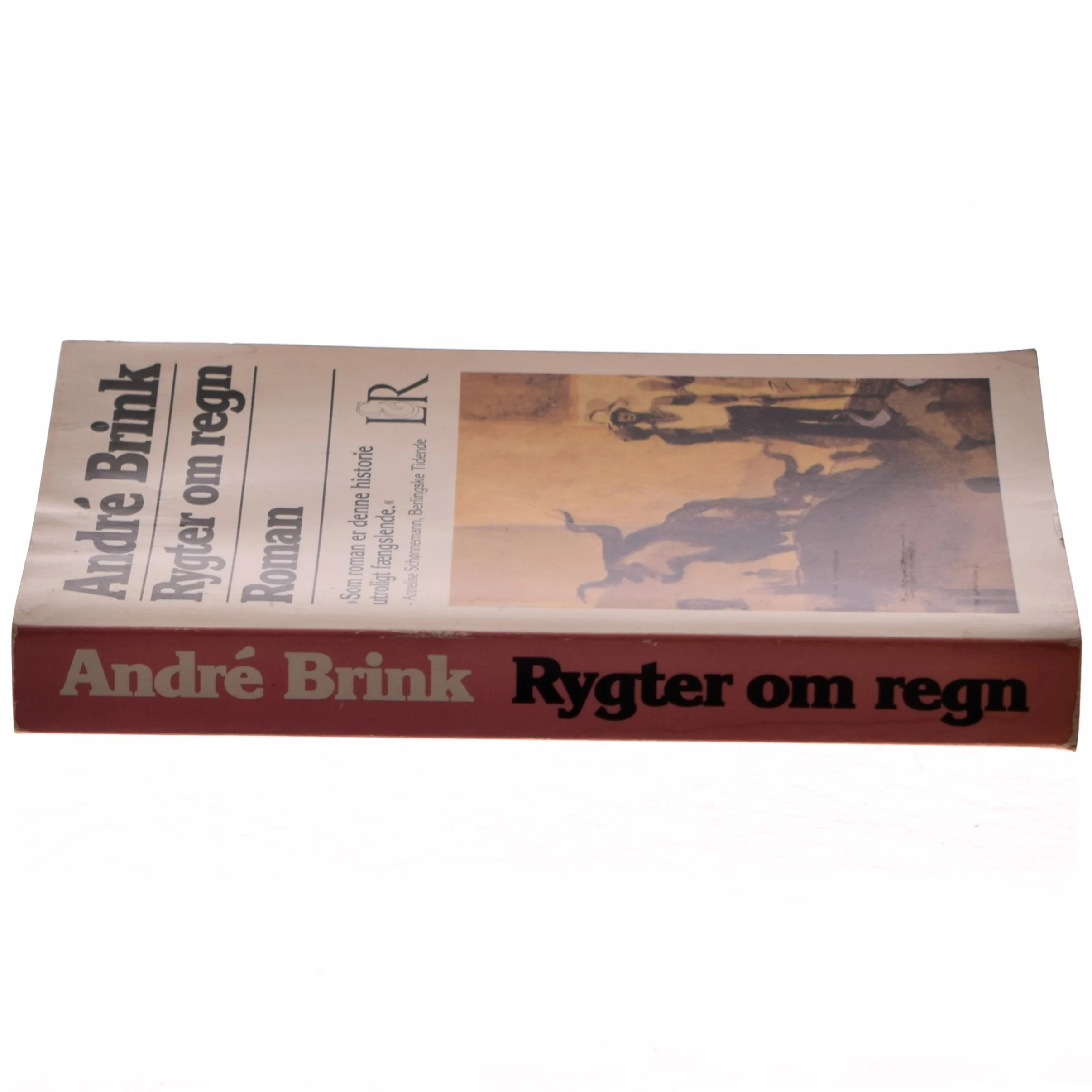 Rygter om regn af André Brink (Bog)
