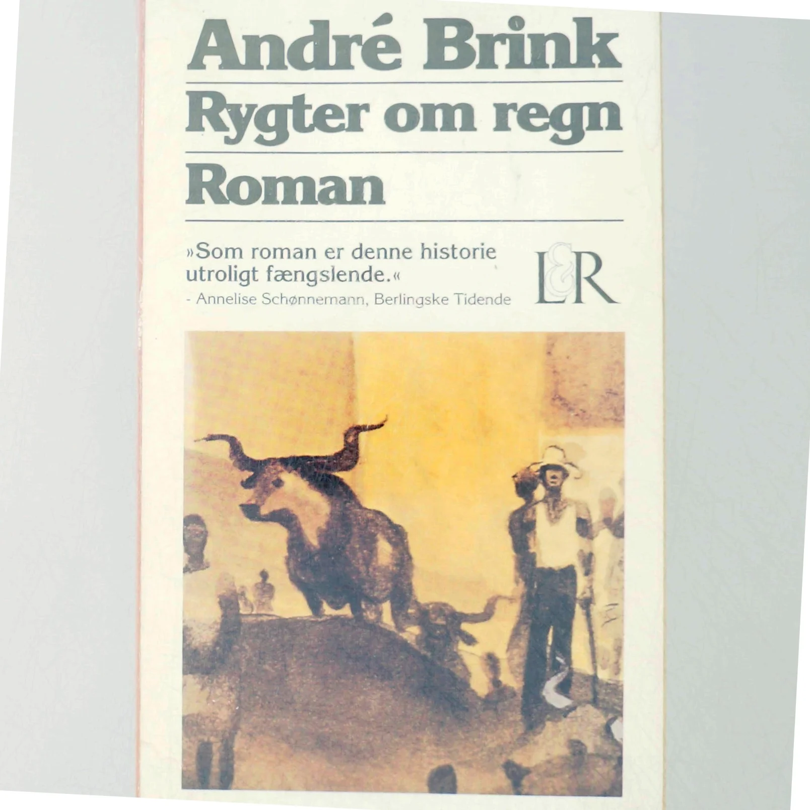 Rygter om regn af André Brink (Bog)