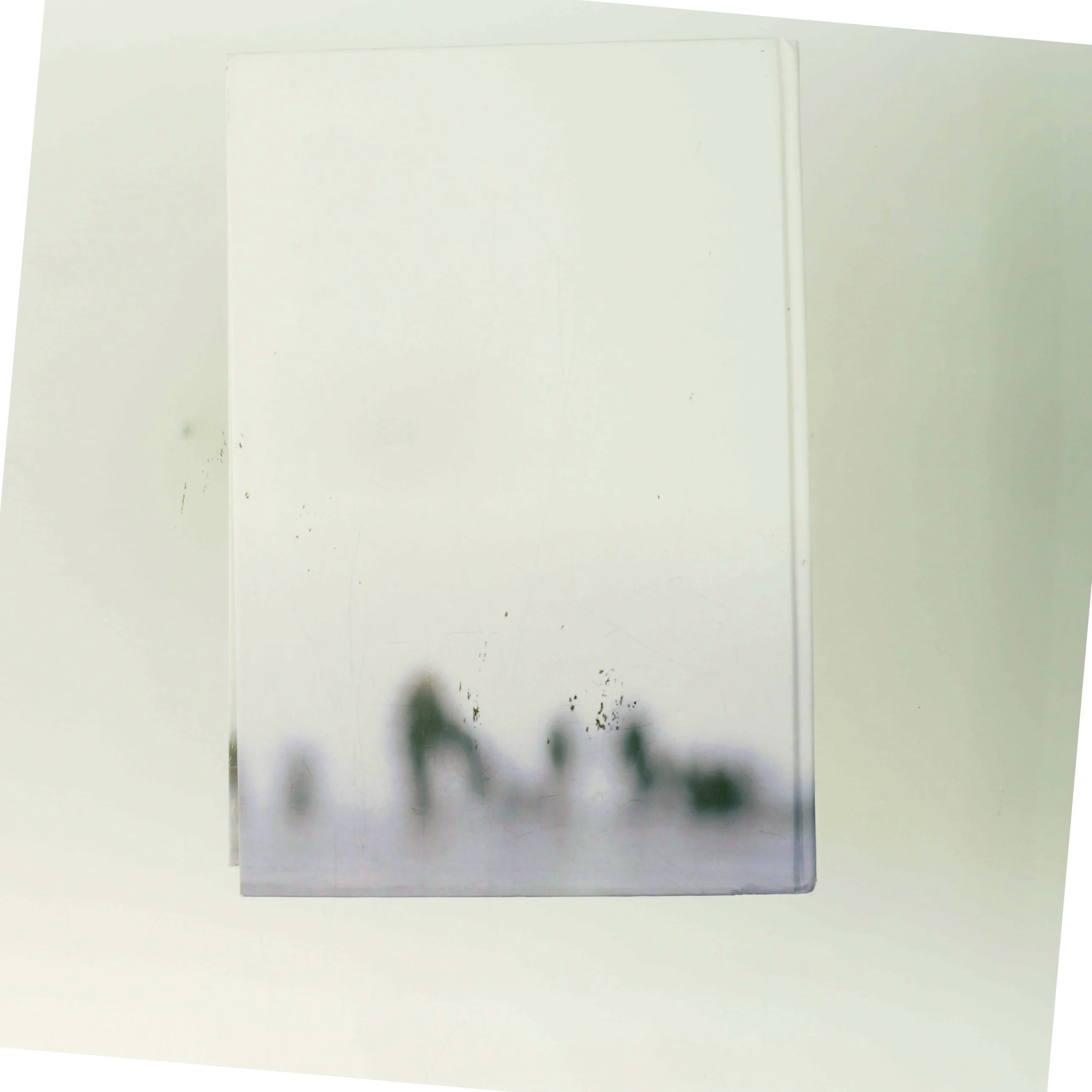 Kronprinsessen af Hanne-Vibeke Holst (Bog)