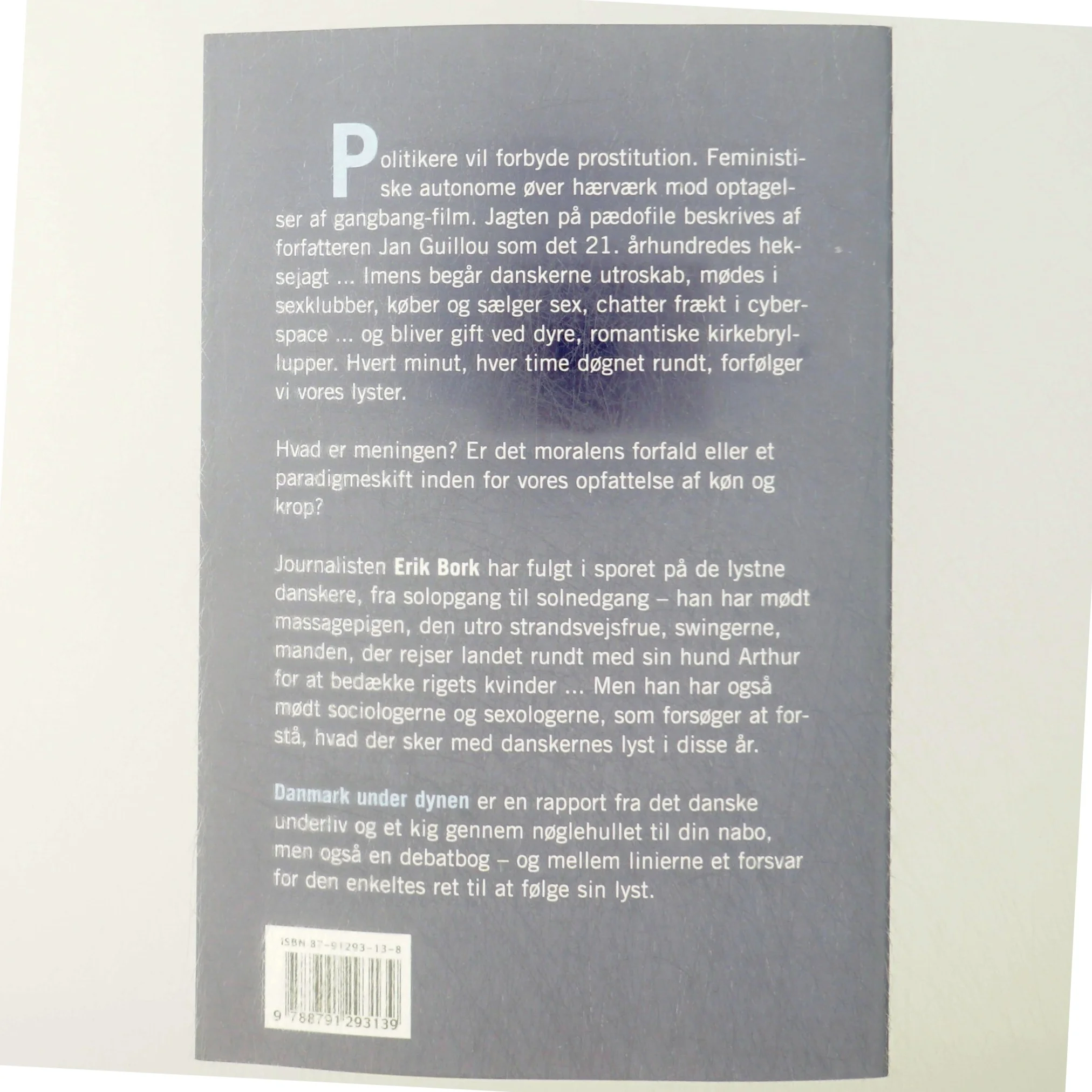 Danmark under dynen : fra bryllup til bunkepul af Erik Bork (f. 1973) (Bog)