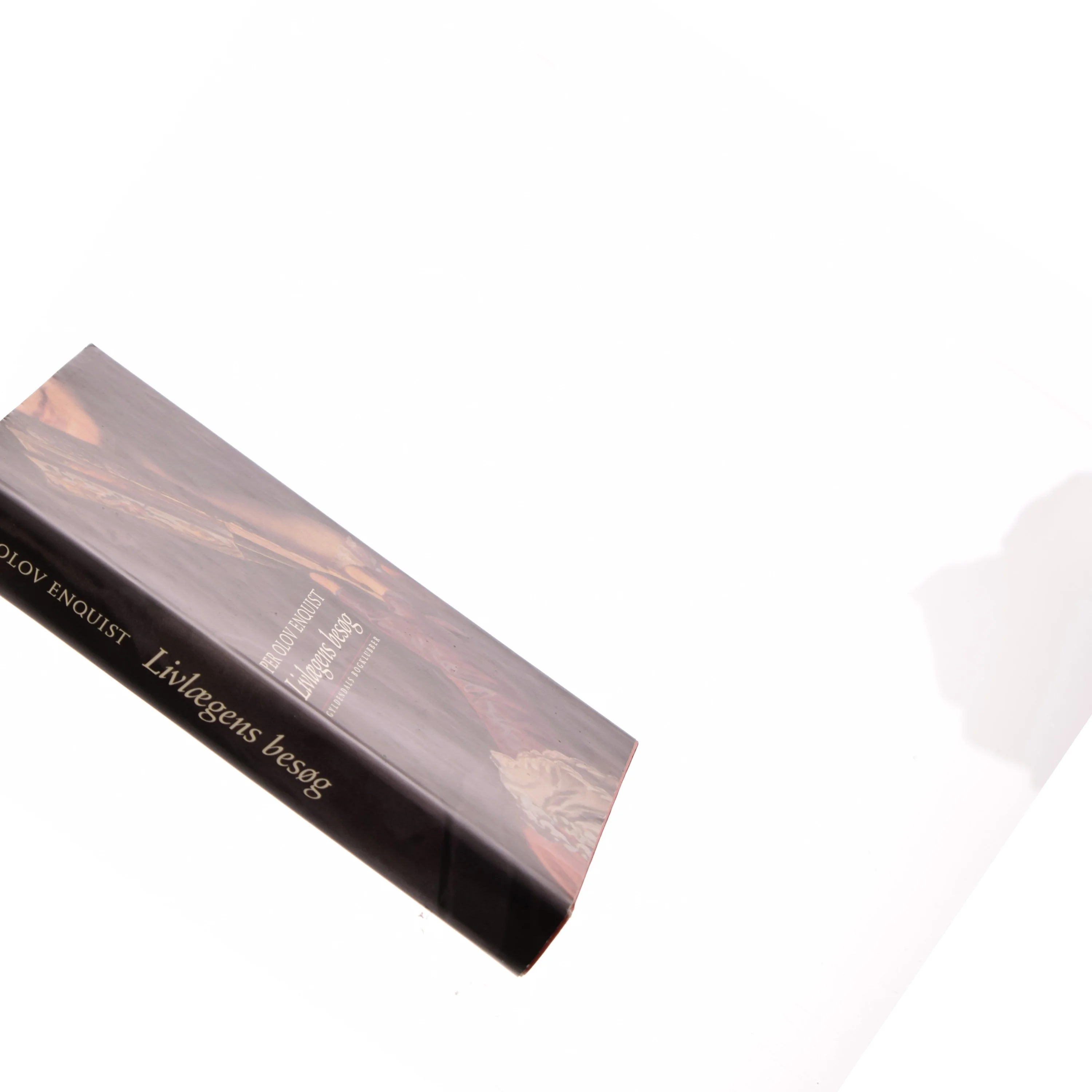 Livlægens besøg : roman af Per Olov Enquist (Bog)