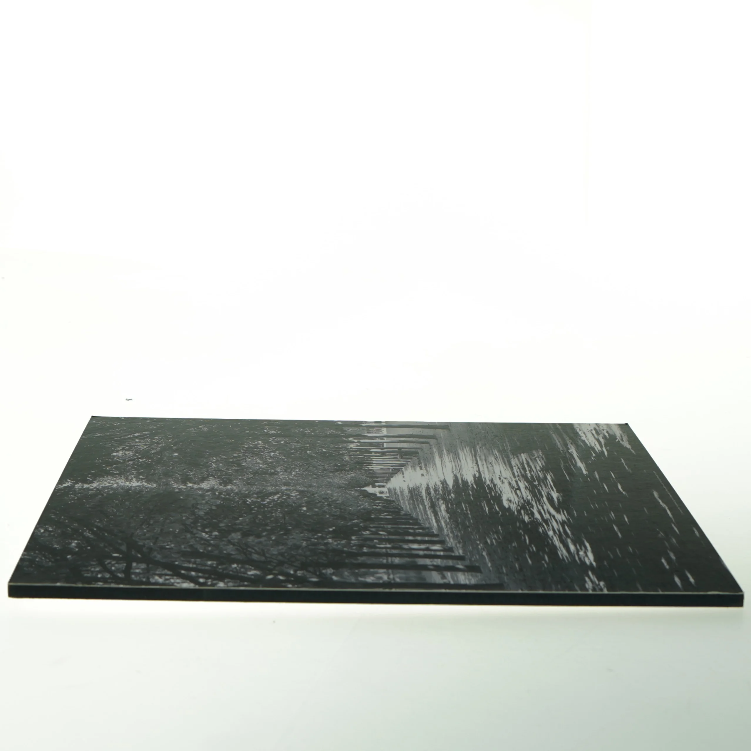 Sort/hvid billede af en træallé (str. 32. x 24 cm)