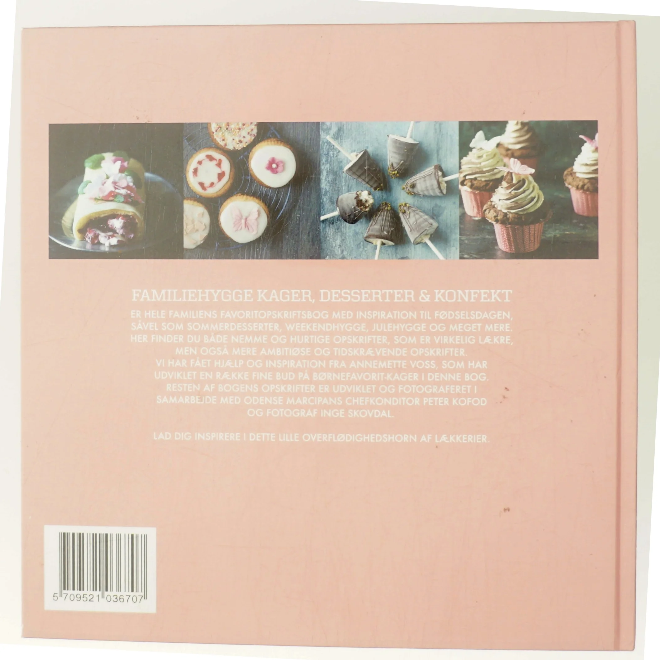 Familiehygge af Peter Kofoed (Bog)