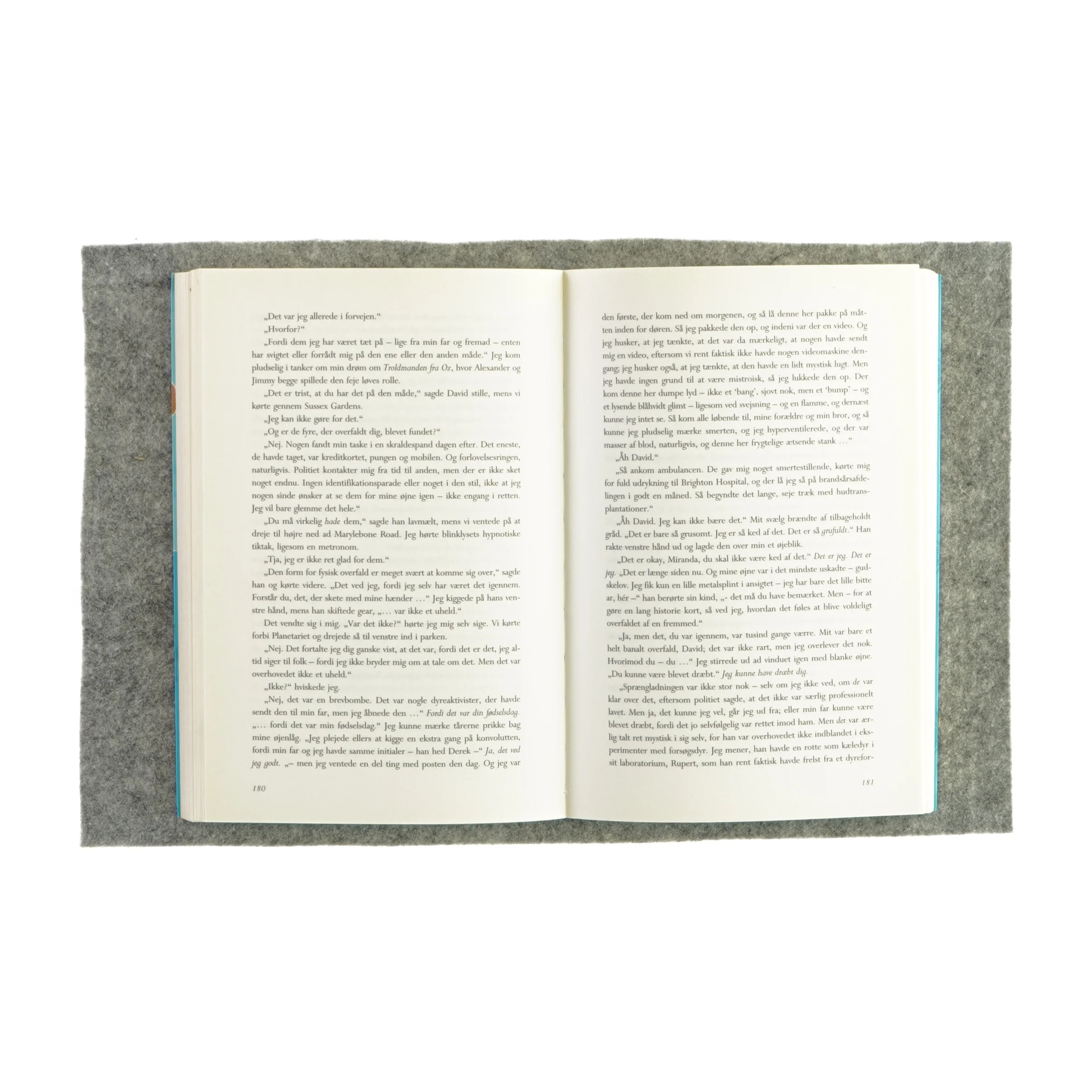 Dårlig opførsel af Isabel Wolff (bog)