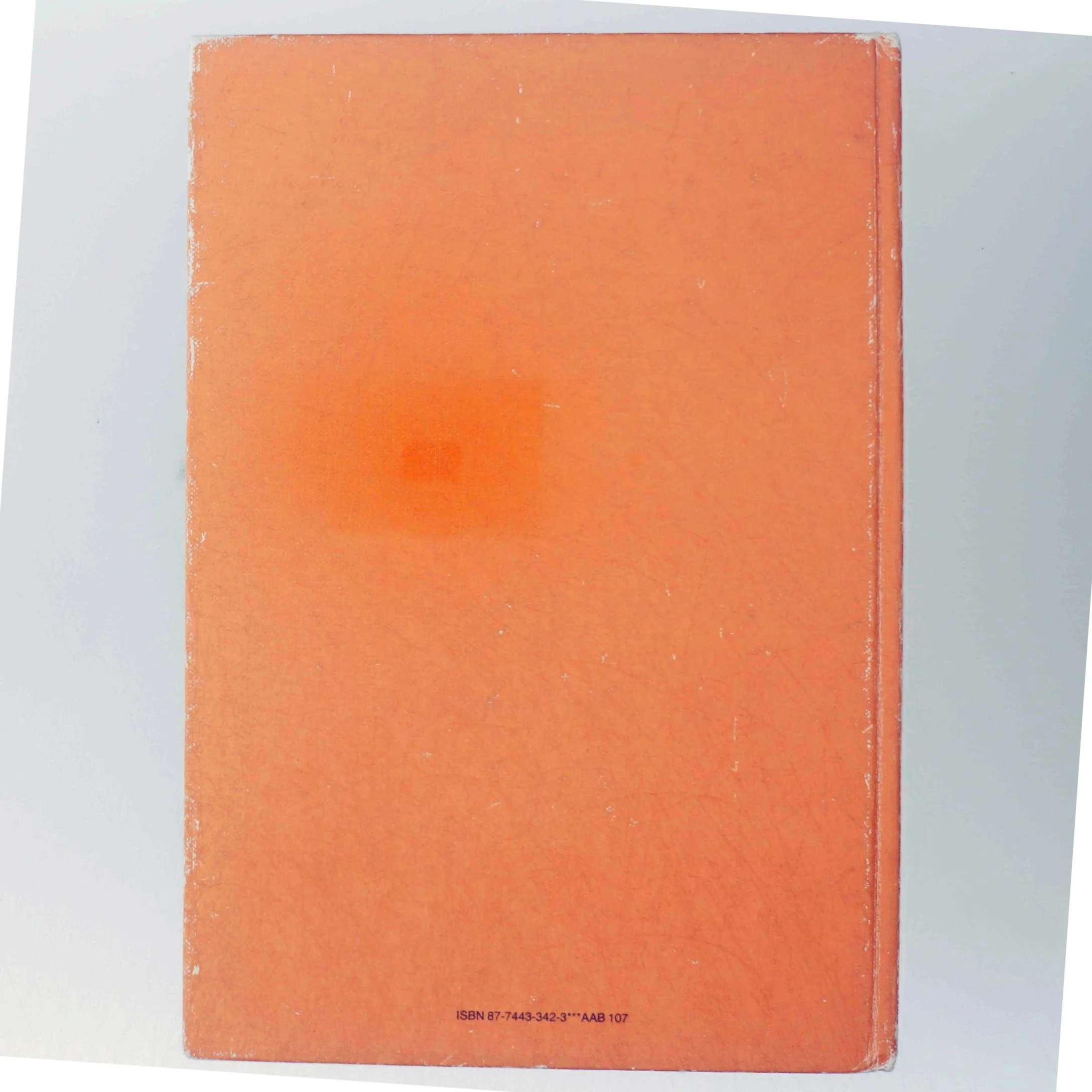 Peter Plys: Æselets store dag bog