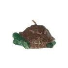 Skildpadde starinlys