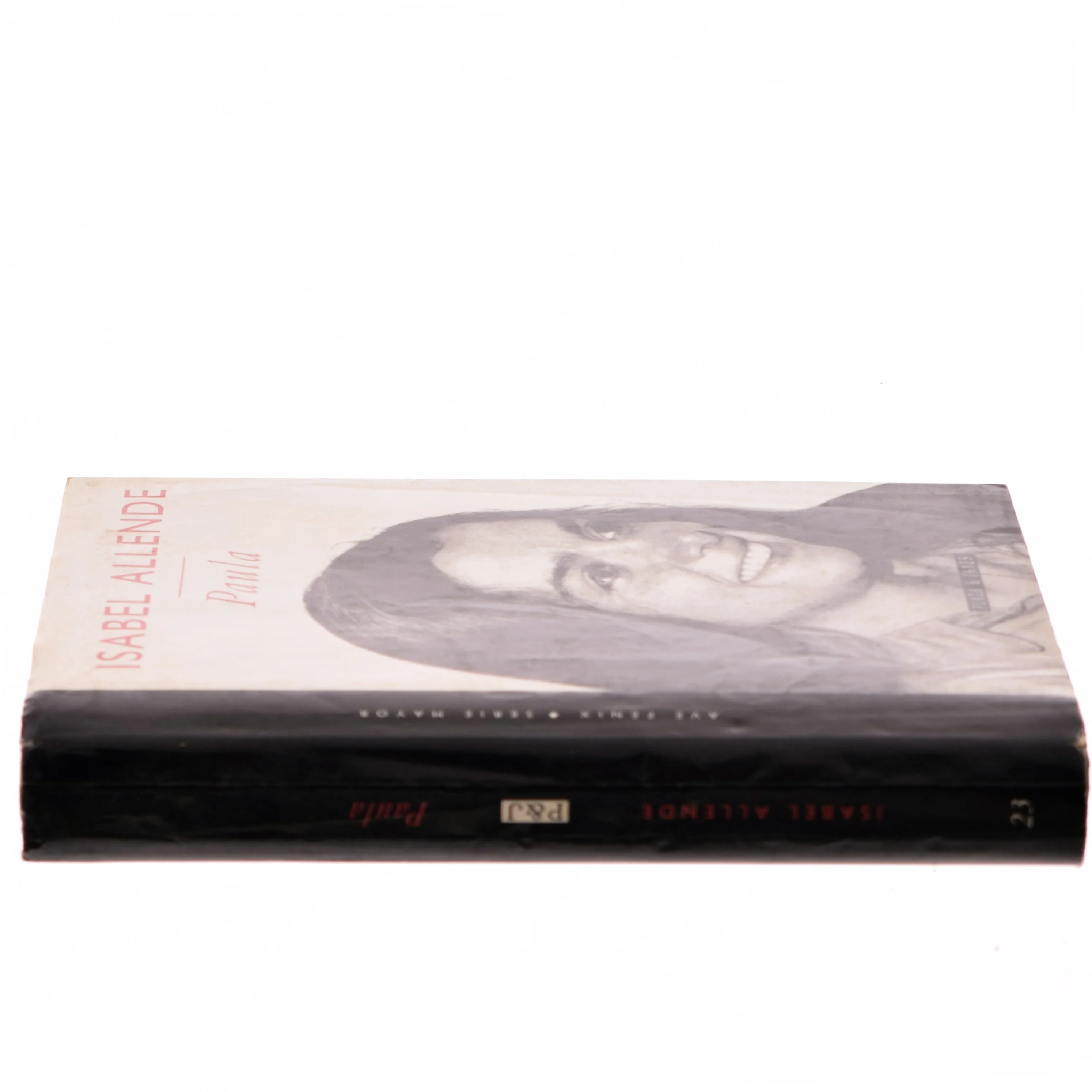 Paula af Isabel Allende (Bog)