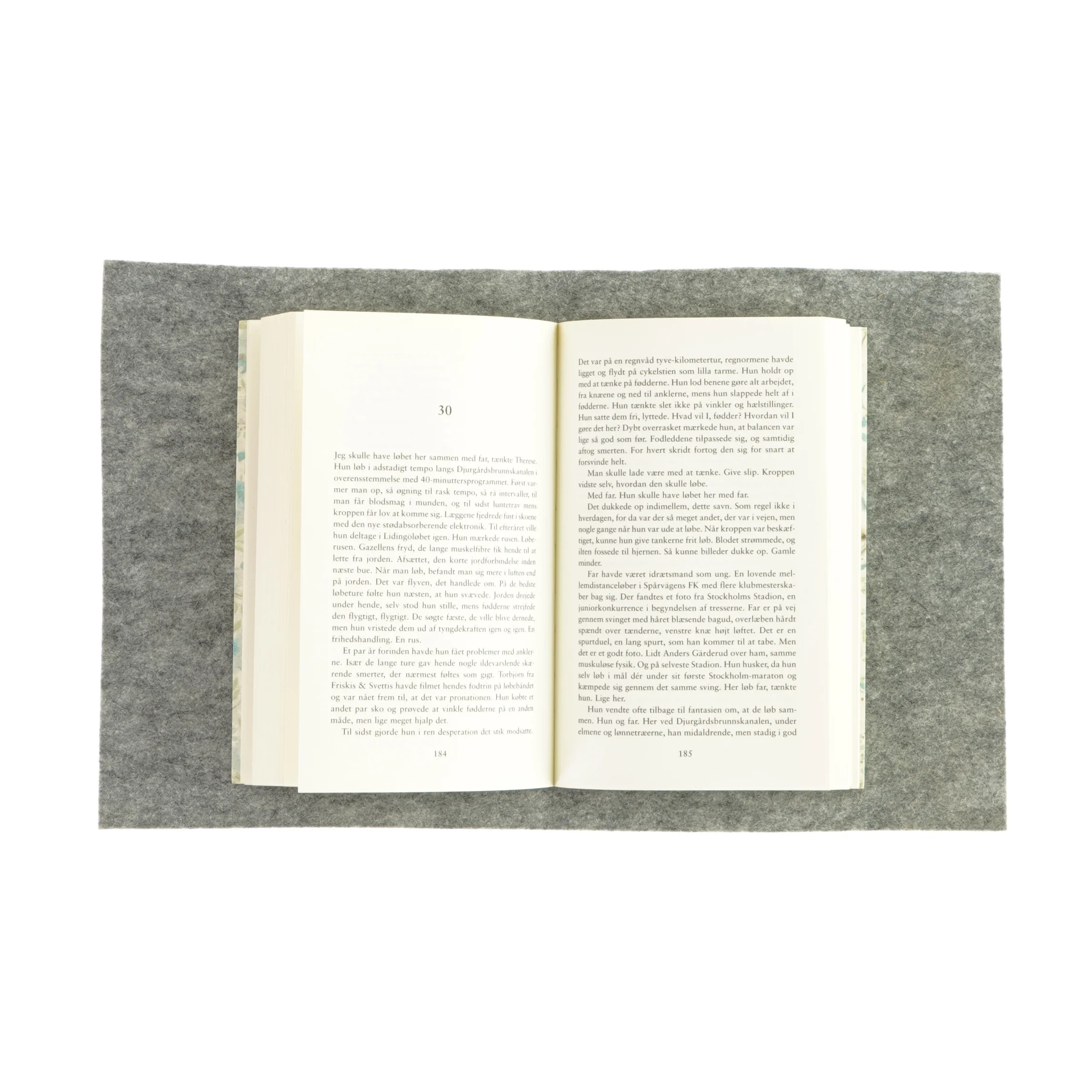 Manden der døde som en laks af Michael Niemi (bog)