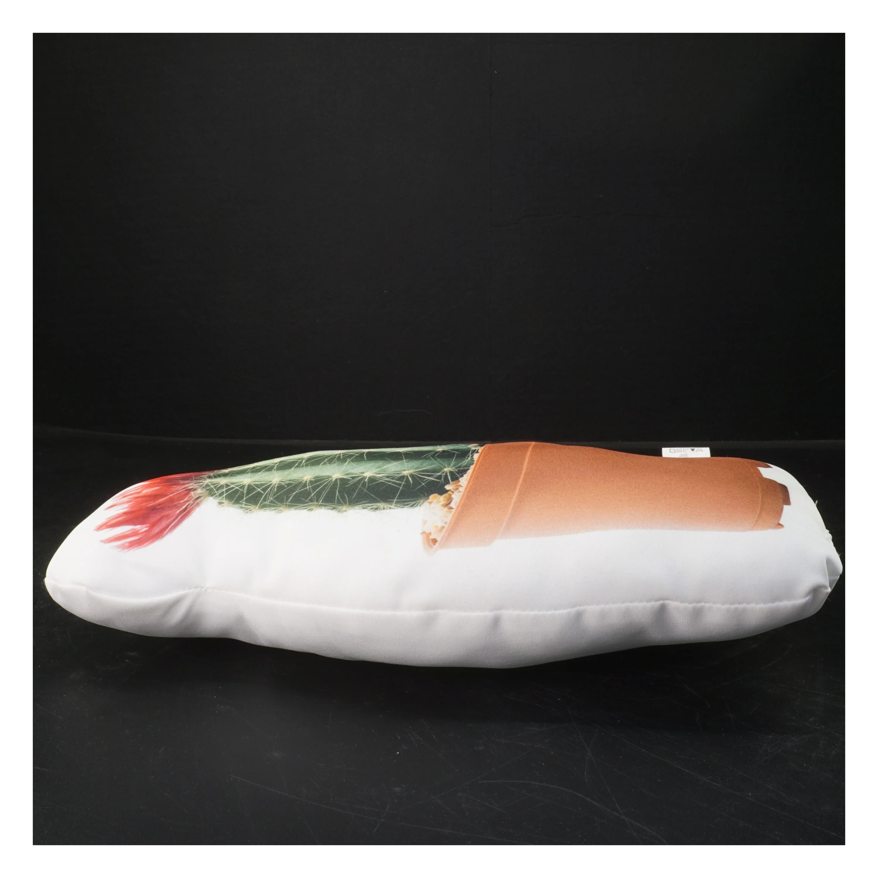 Kaktuspude (str. 35x20 cm)