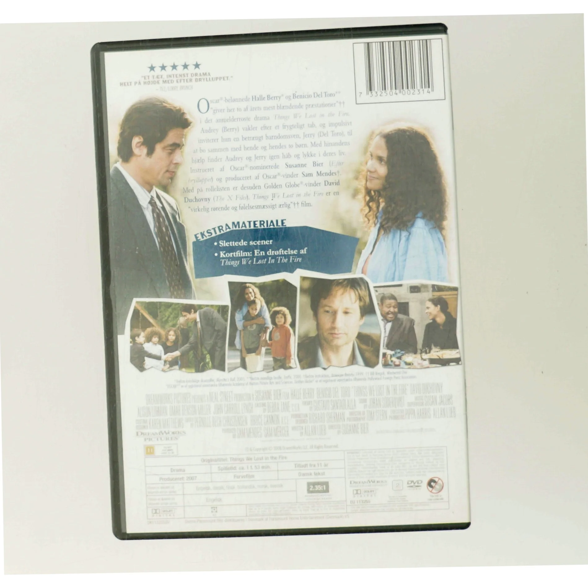 Things We Lost in the Fire med Halle Berry (DVD)