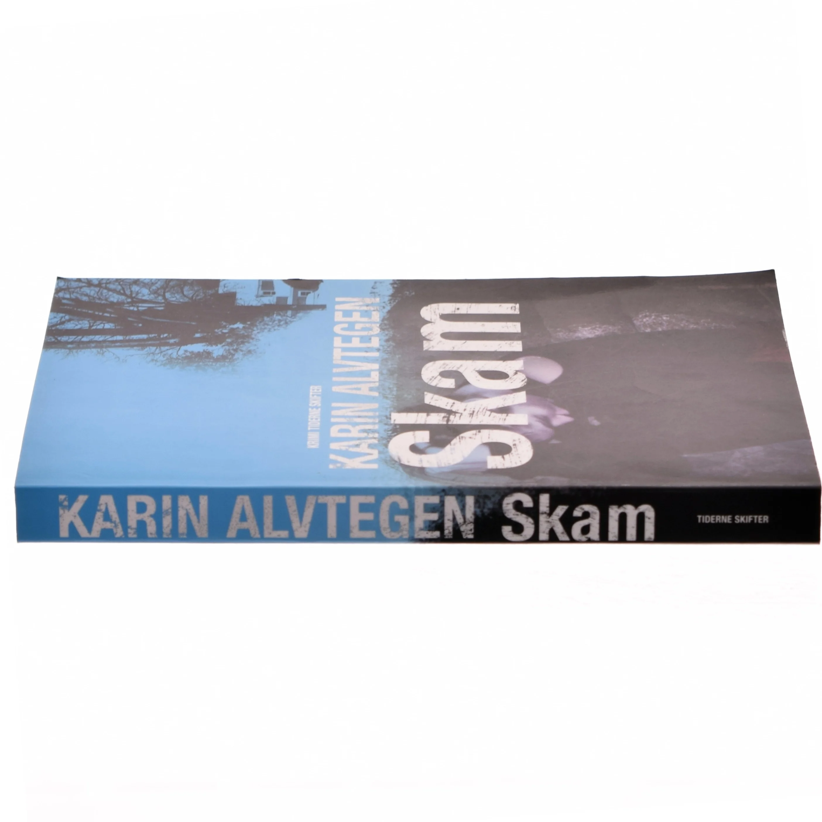 Skam af Karin Alvtegen