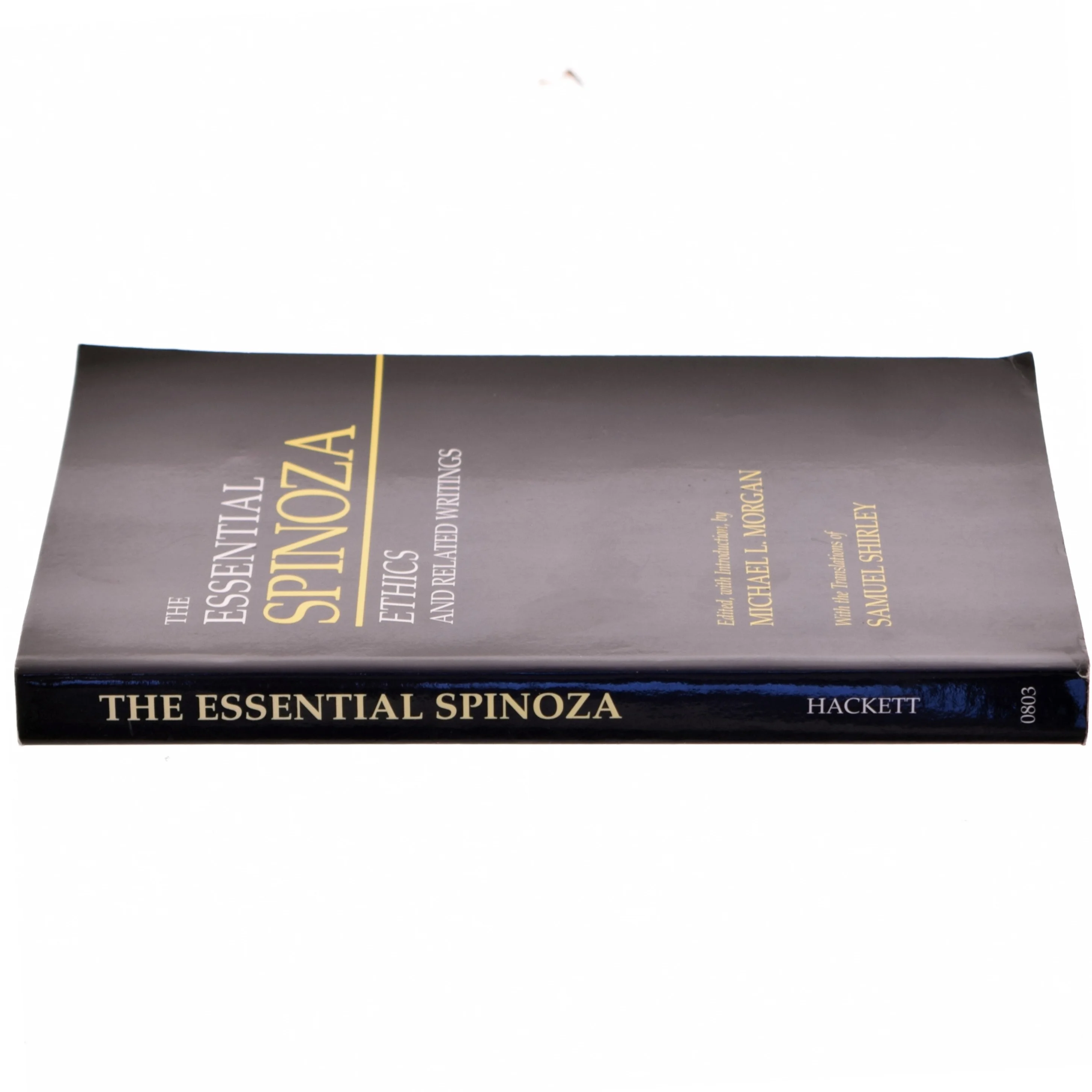 The essential Spinoza : ethics and related writings (Bog)