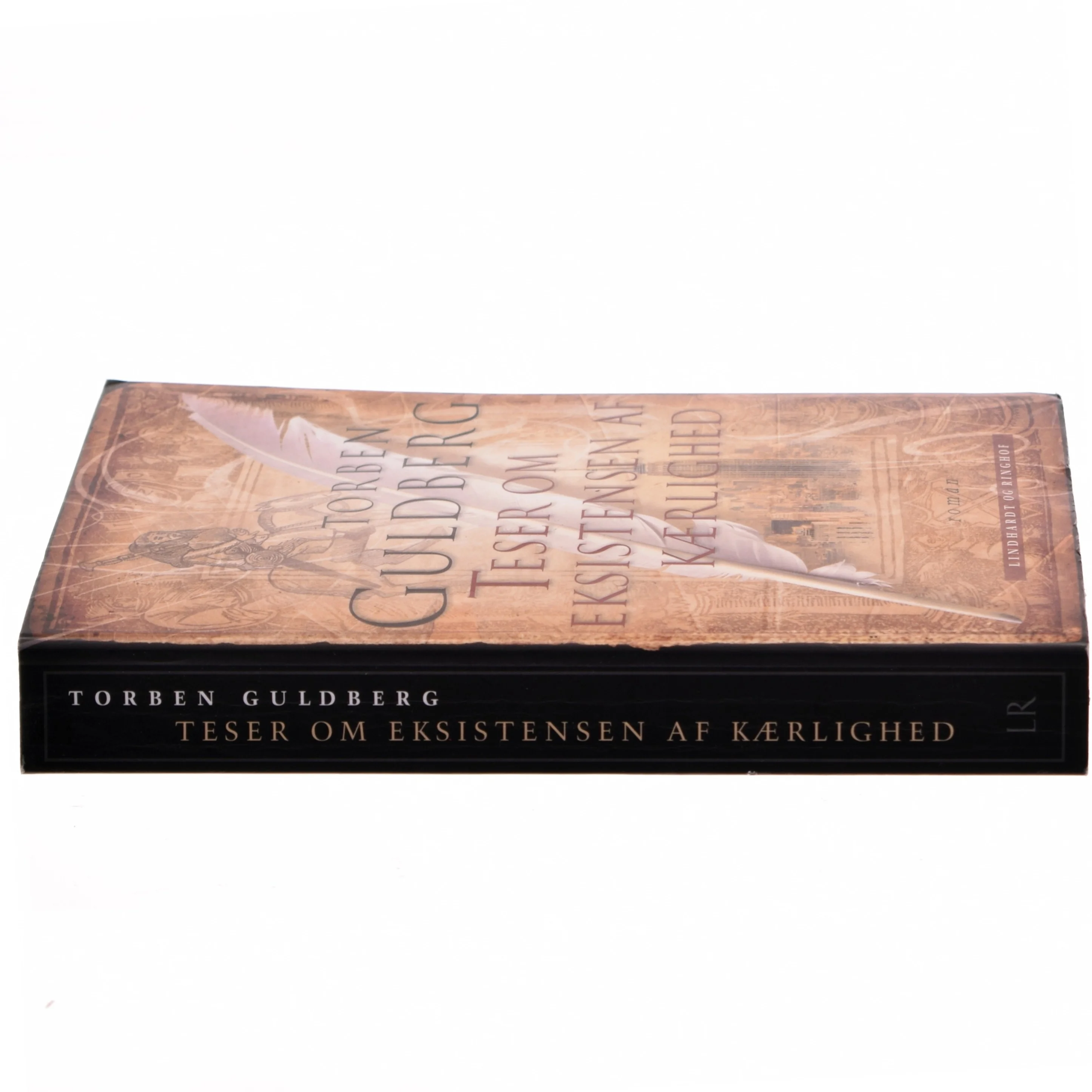 Teser om eksistensen af kærlighed : roman af Torben Guldberg (Bog)