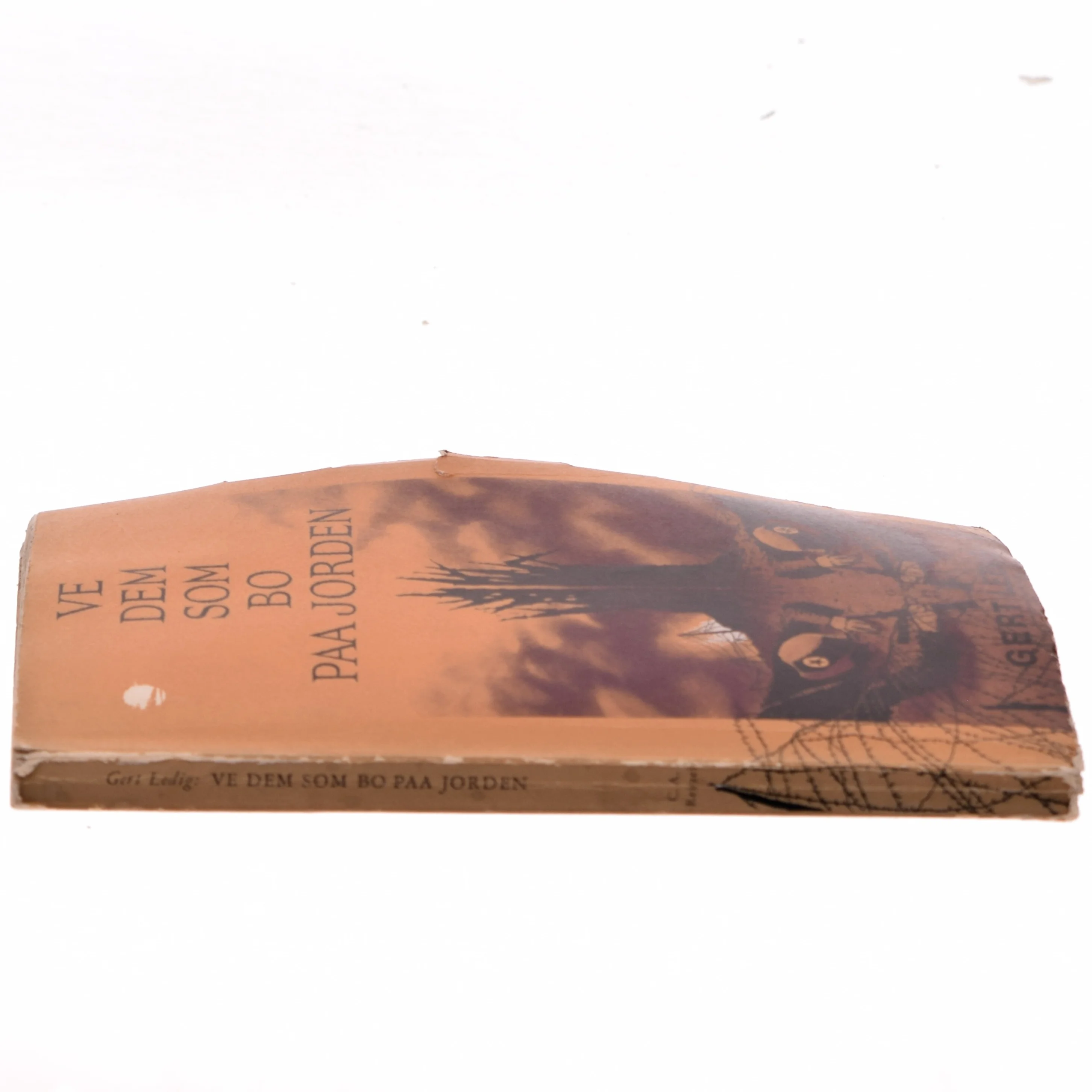 Ve dem som bo på jorden af Gert Ledig (Bog)