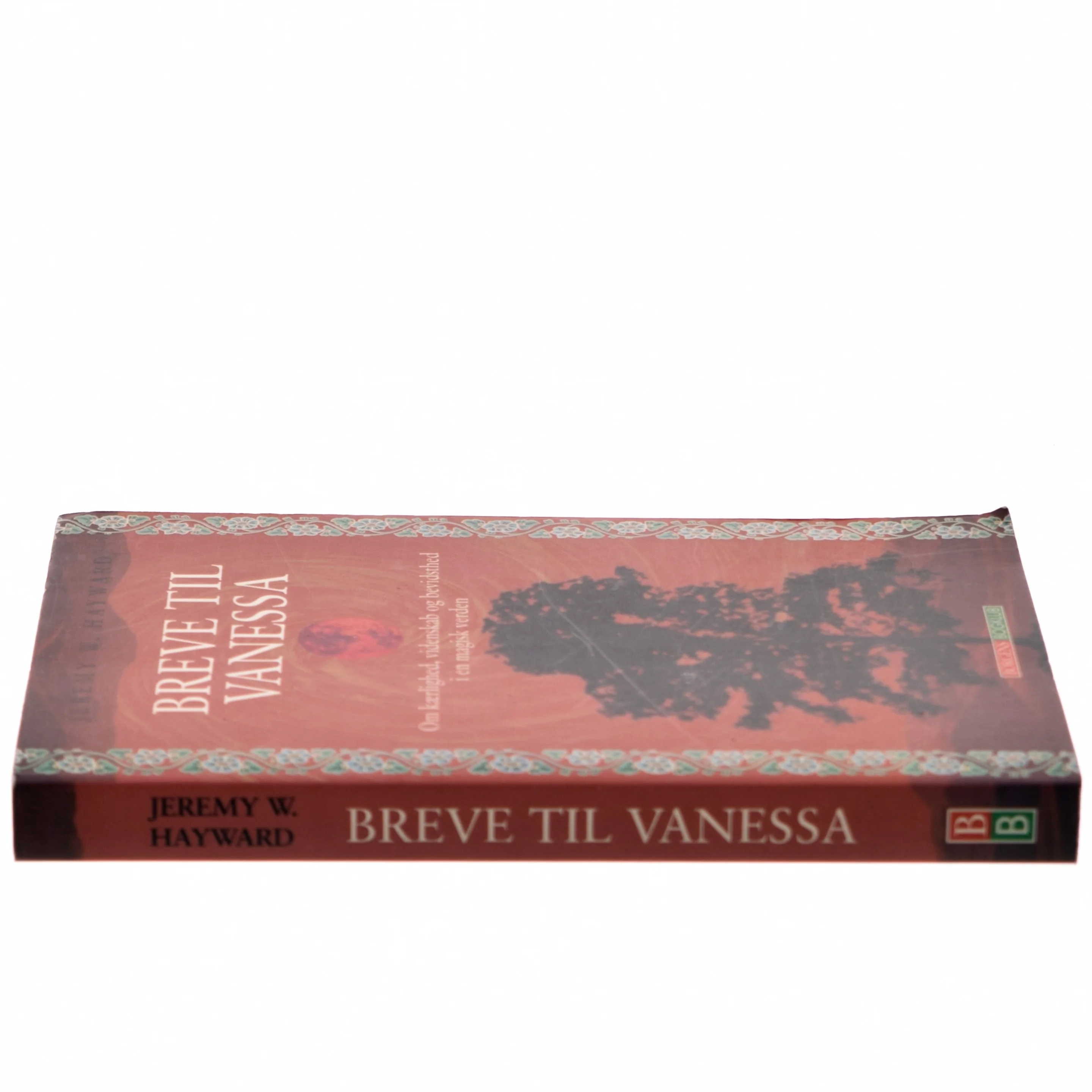 Breve til Vanessa : om kærlighed, videnskab og bevidsthed i en magisk verden af Jeremy W. Hayward (Bog)