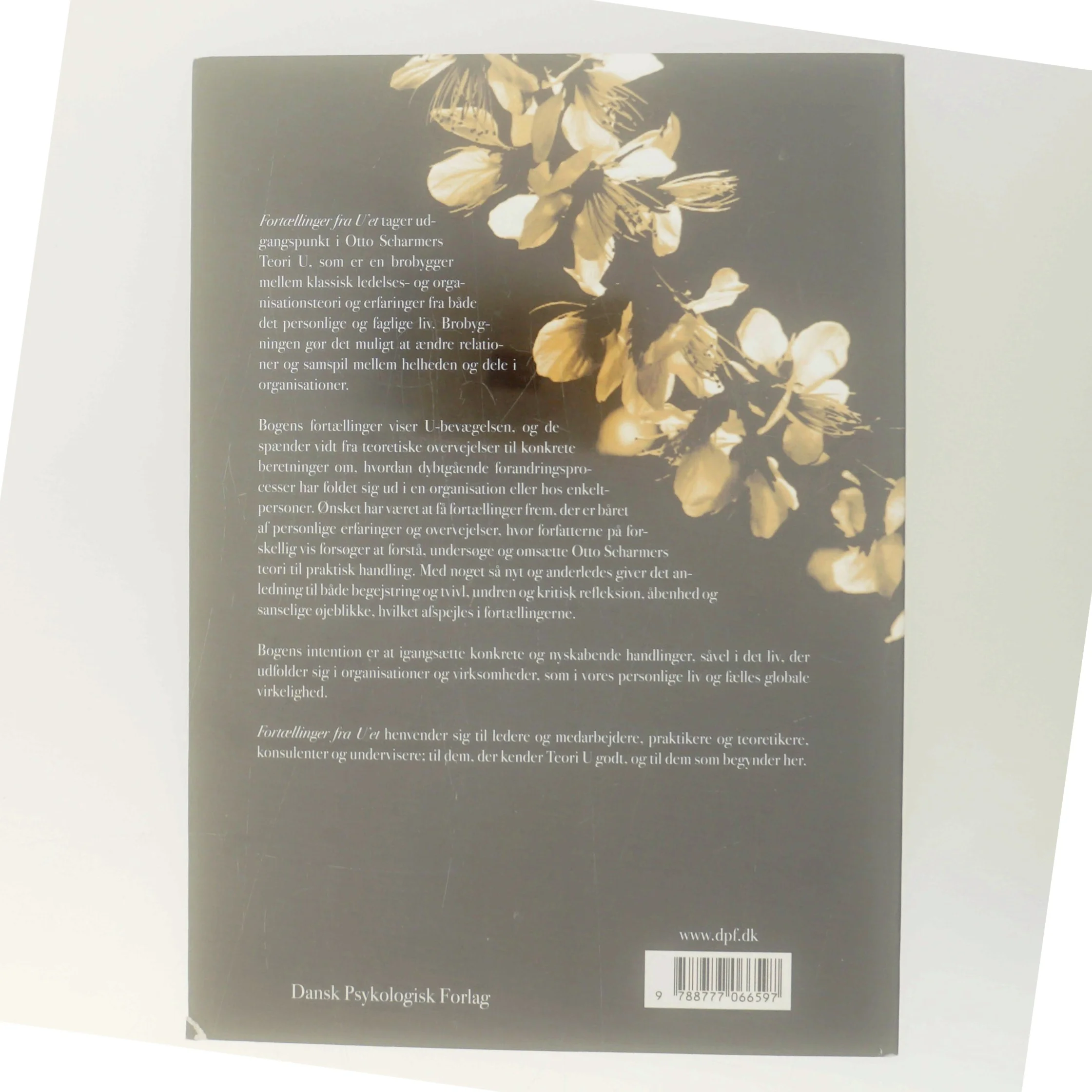 Fortællinger fra U'et : teori U omsat i liv, læring og lederskab (Bog)