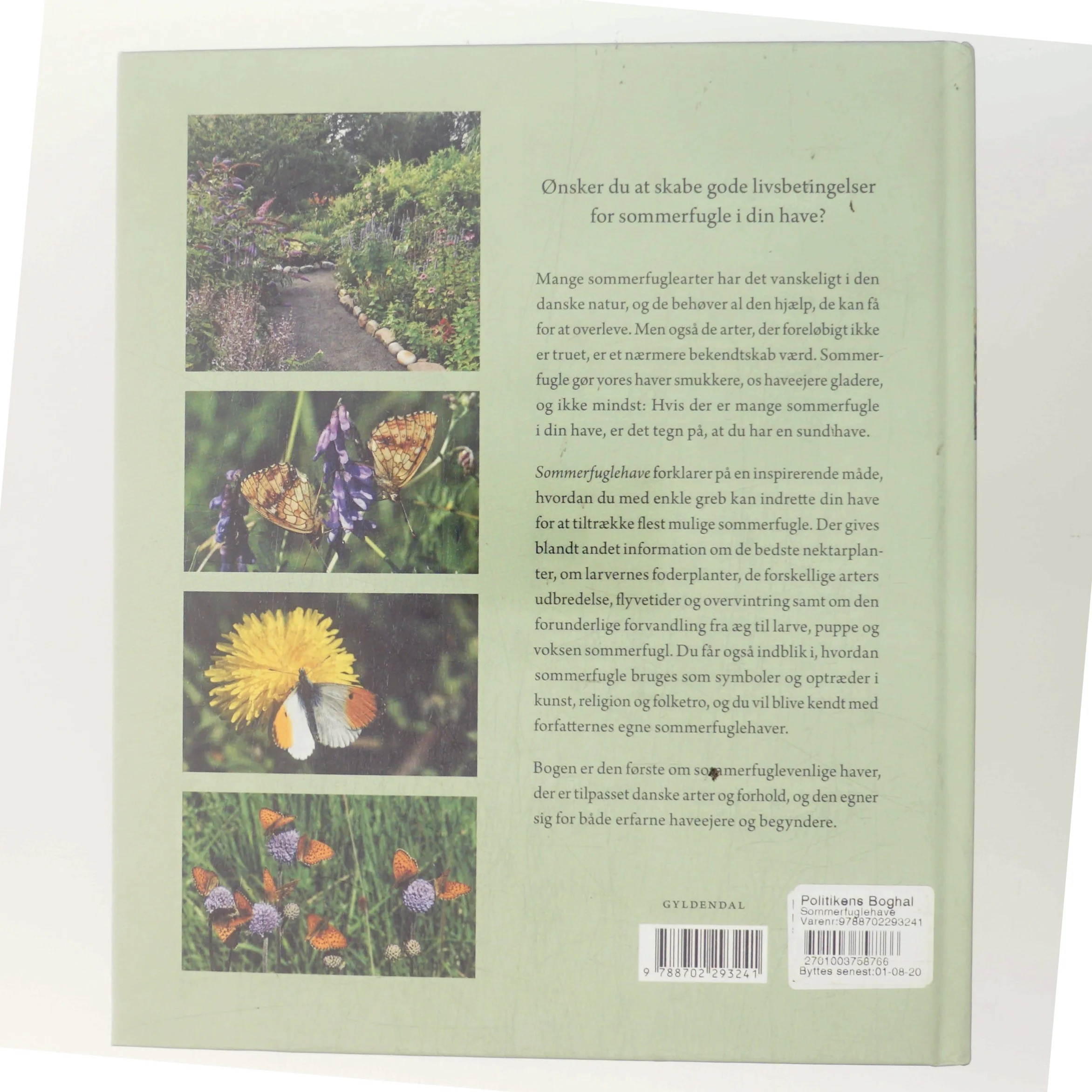 Sommerfuglehave : hvordan vores haver kan blive gode levesteder for farverige sommerfugle af Michael Stoltze (Bog)