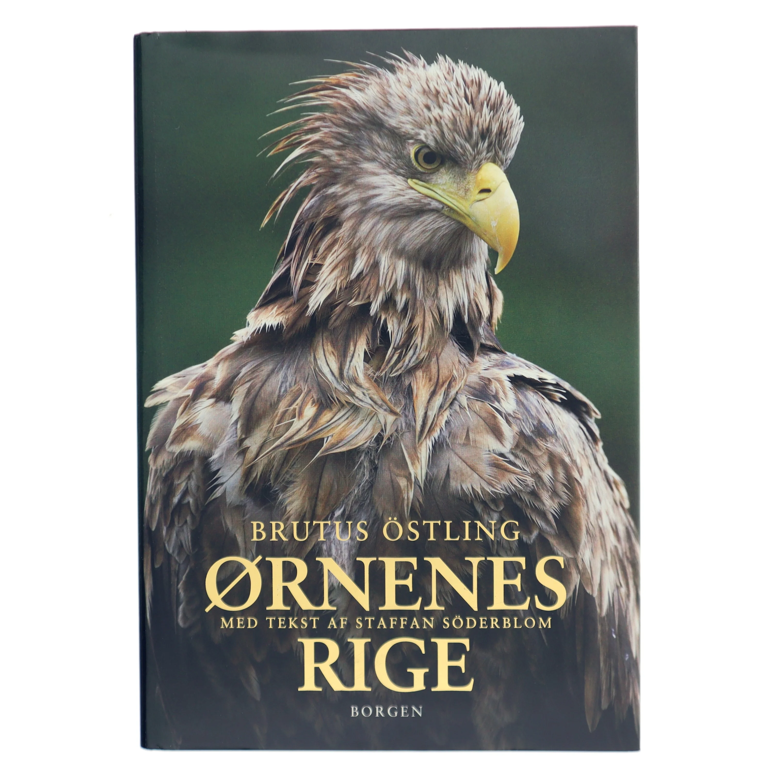 Ørnenes rige (Bog)