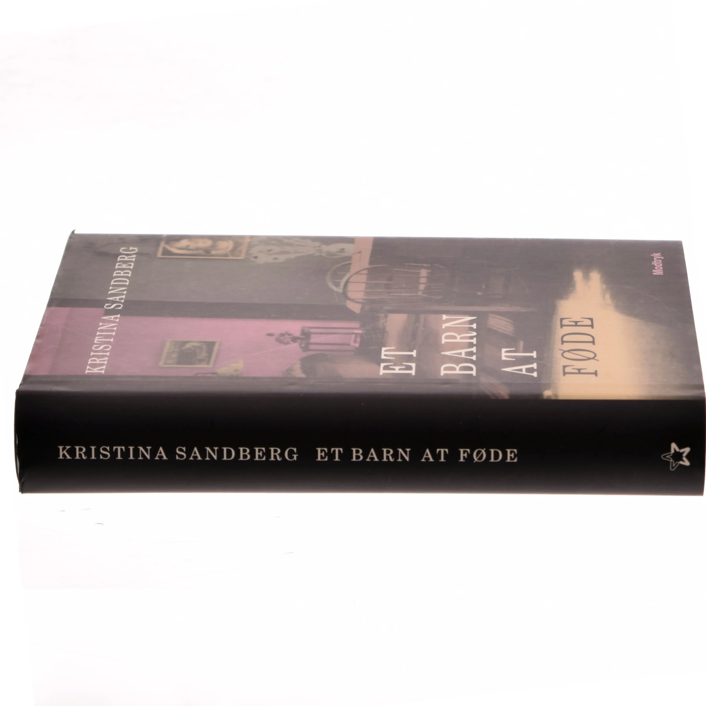 Et barn at føde af Kristina Sandberg (Bog)