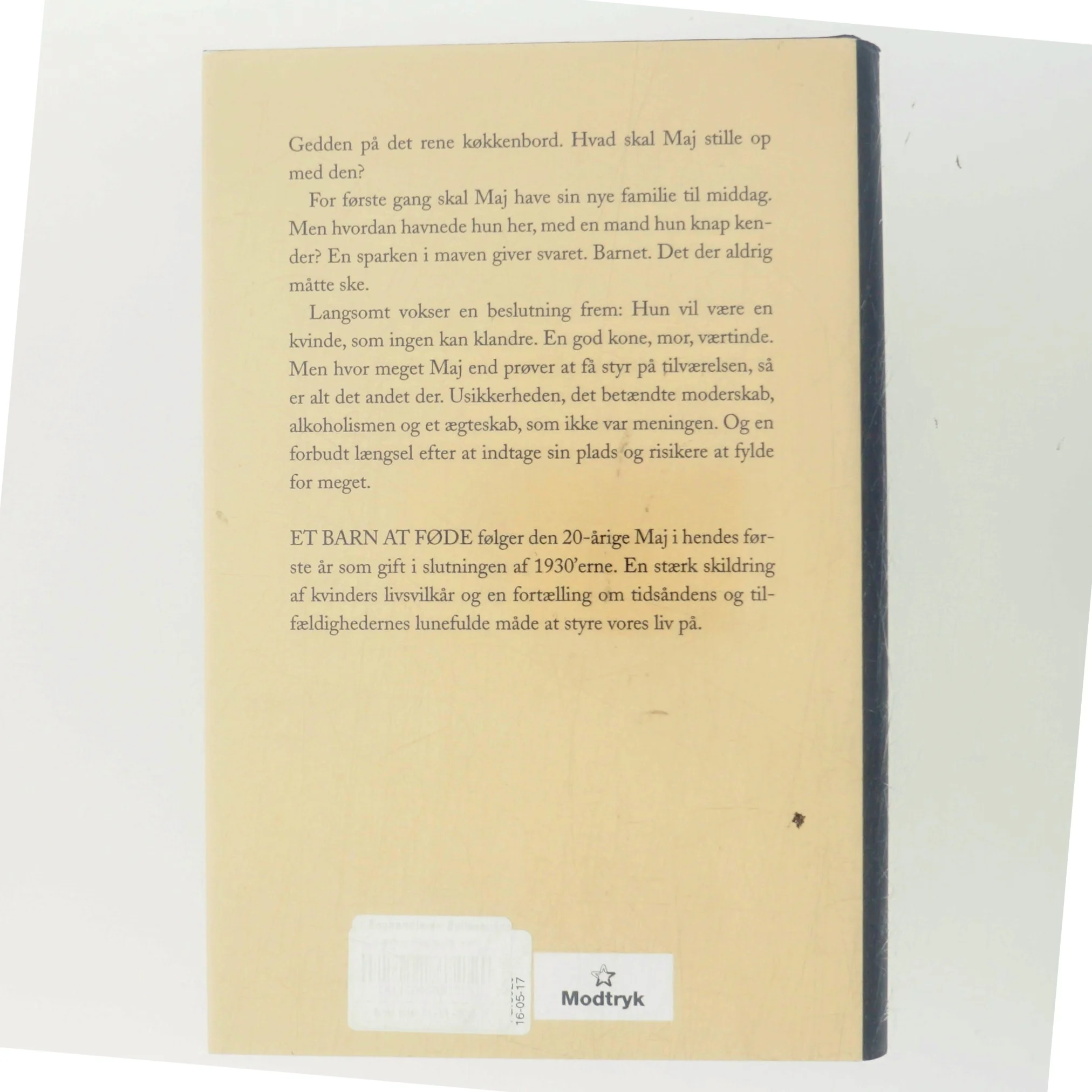 Et barn at føde af Kristina Sandberg (Bog)