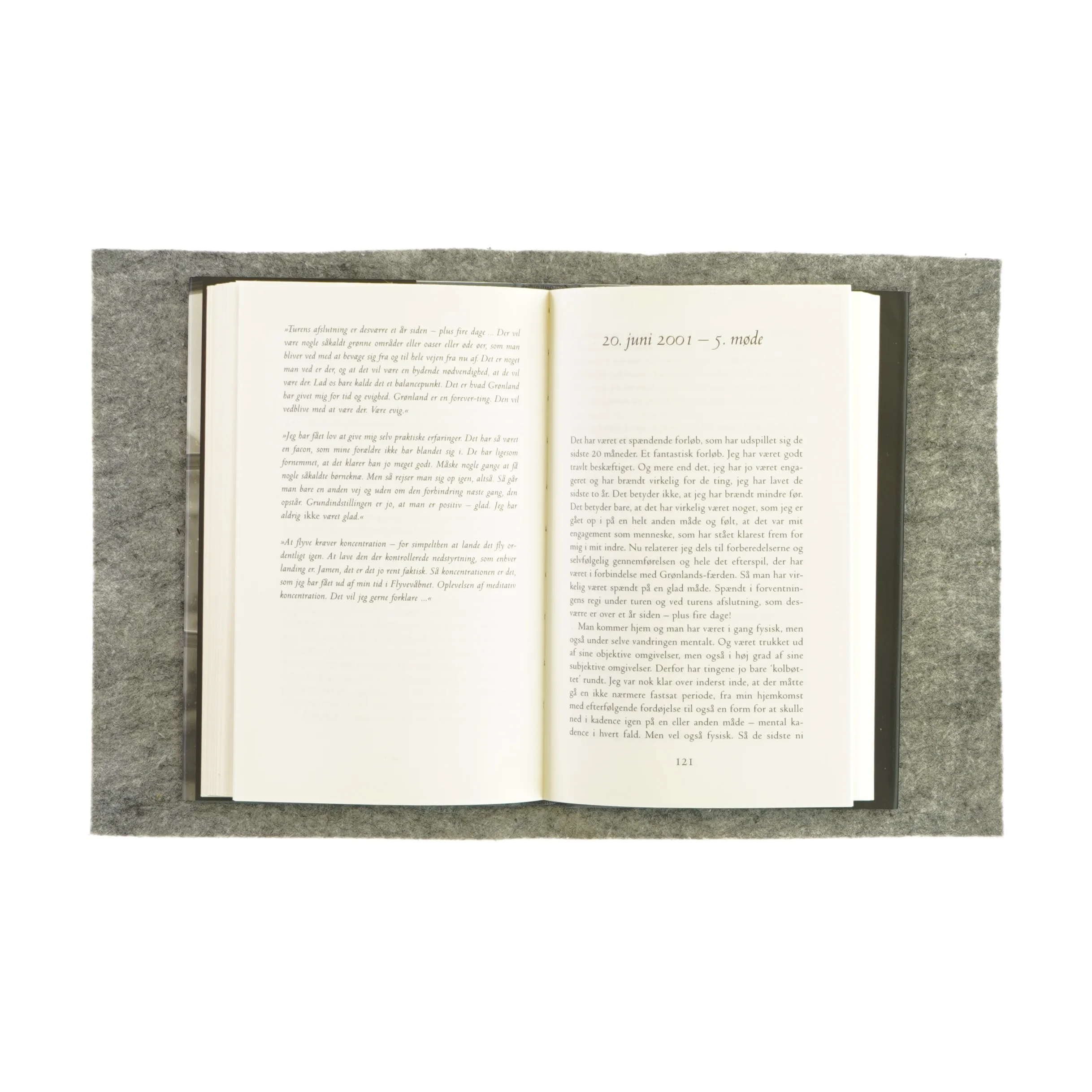 Rejse i livet - Kronprins Frederik fortæller til Ninka (bog)