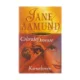 Colorado drømme og Kamæleonen af Jane Aamund (bog 2i1)