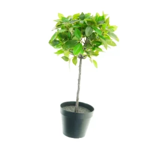 Kunstig bonsaitræ i potte (str. 41 x 20 cm)