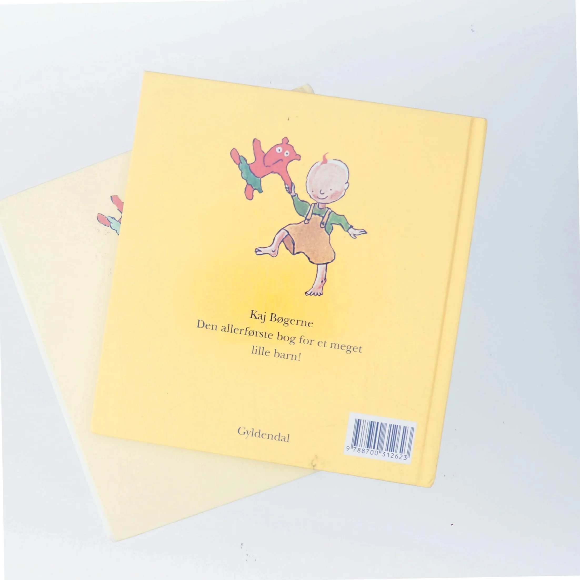 Kaj er farlig af Mats Letén (Bog)