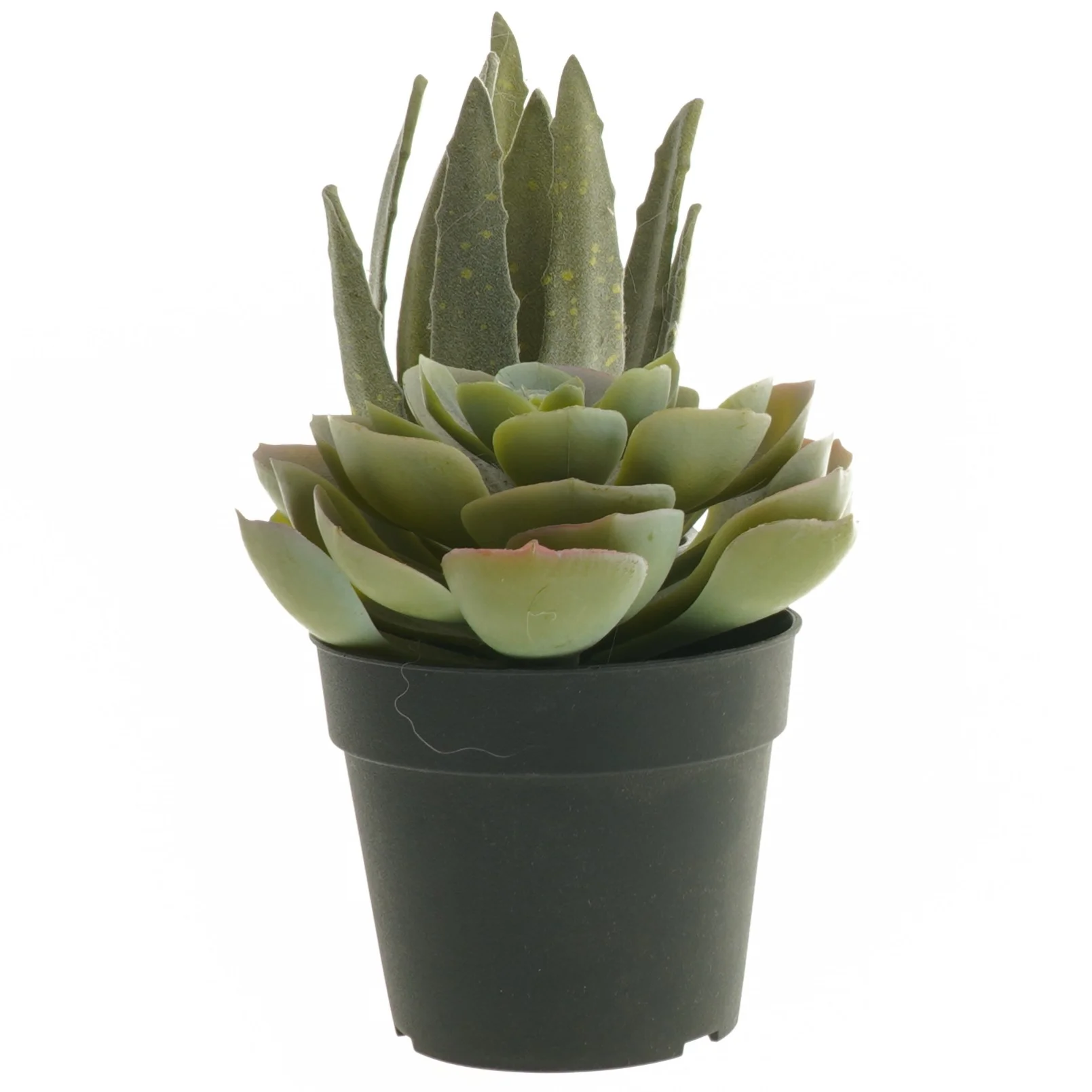 Dekorative kunstige planter i sorte potter fra IKEA (str. 12 cm og 19 cm)