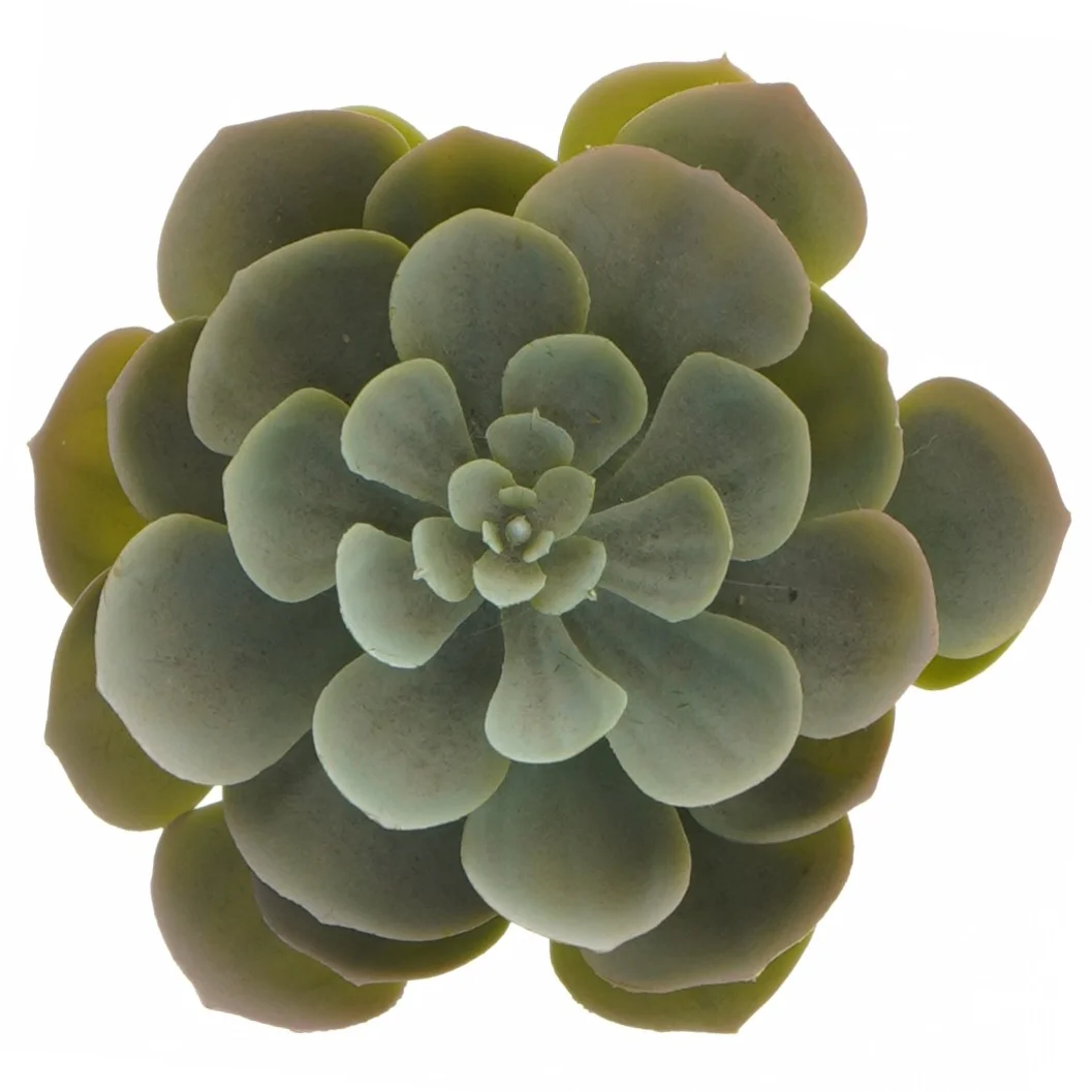 Dekorative kunstige planter i sorte potter fra IKEA (str. 12 cm og 19 cm)