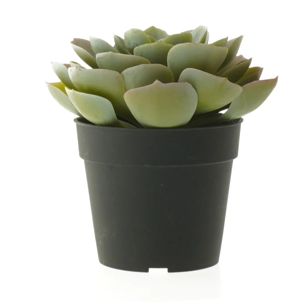 Dekorative kunstige planter i sorte potter fra IKEA (str. 12 cm og 19 cm)