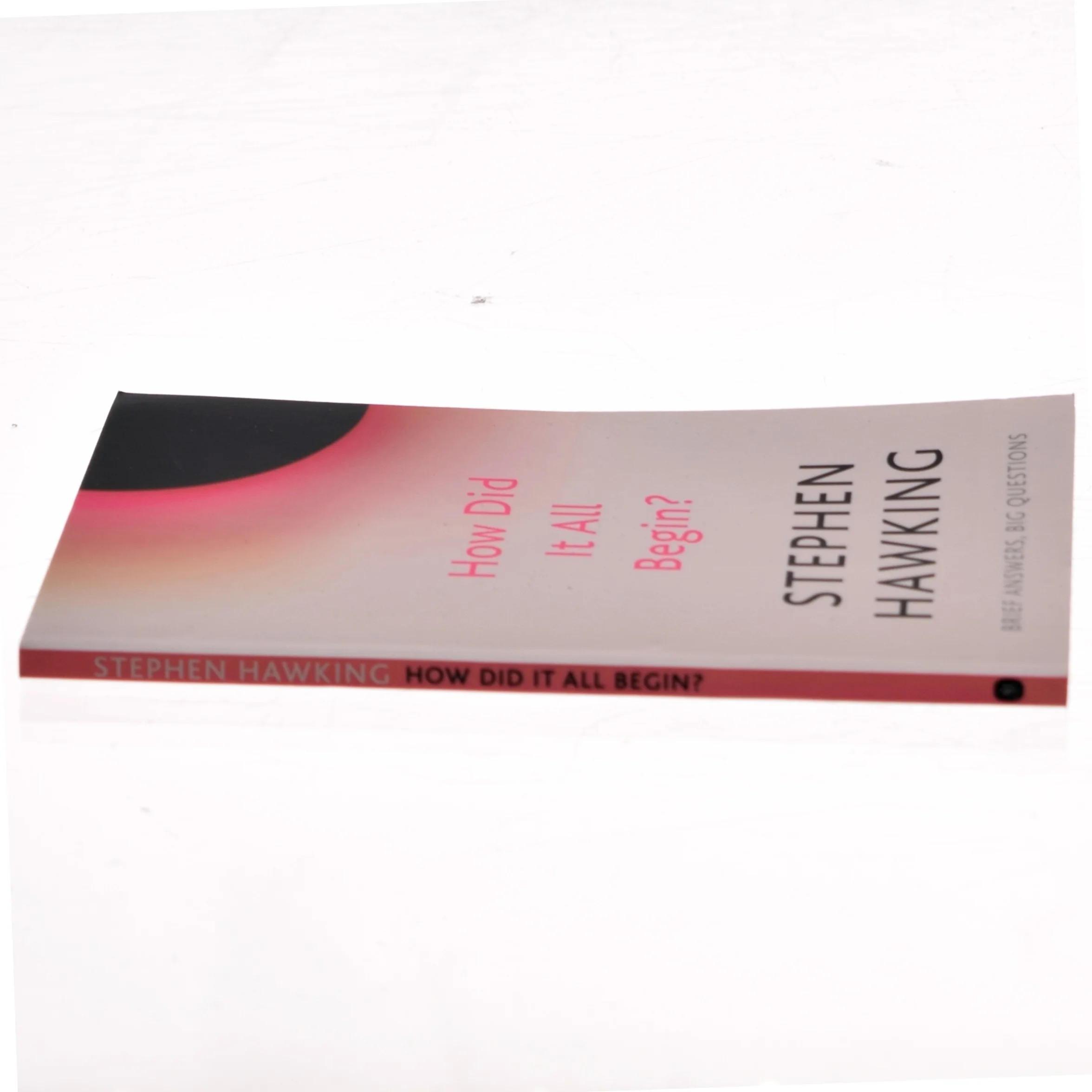 How Did It All Begin? af Stephen Hawking (Bog)