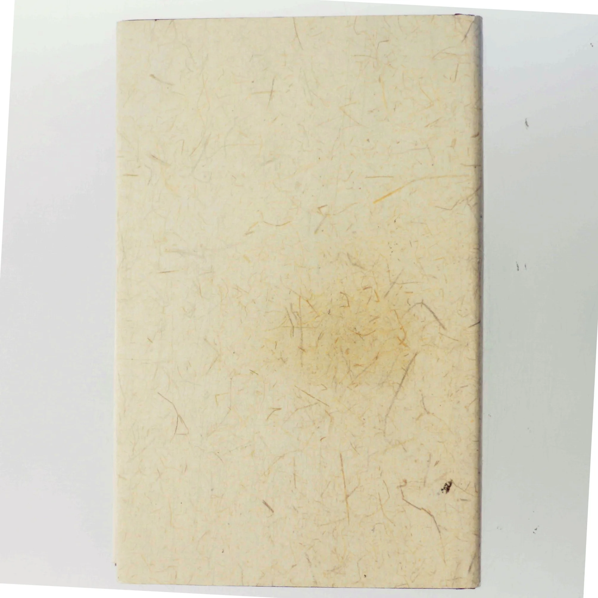 Vilde Svaner: Tre Døtre af Kina af Jung Chang (Bog)