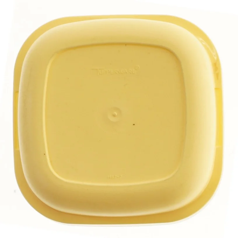 Tuppervare Plastik opbevaringsboks med låg (str. 15 cm)