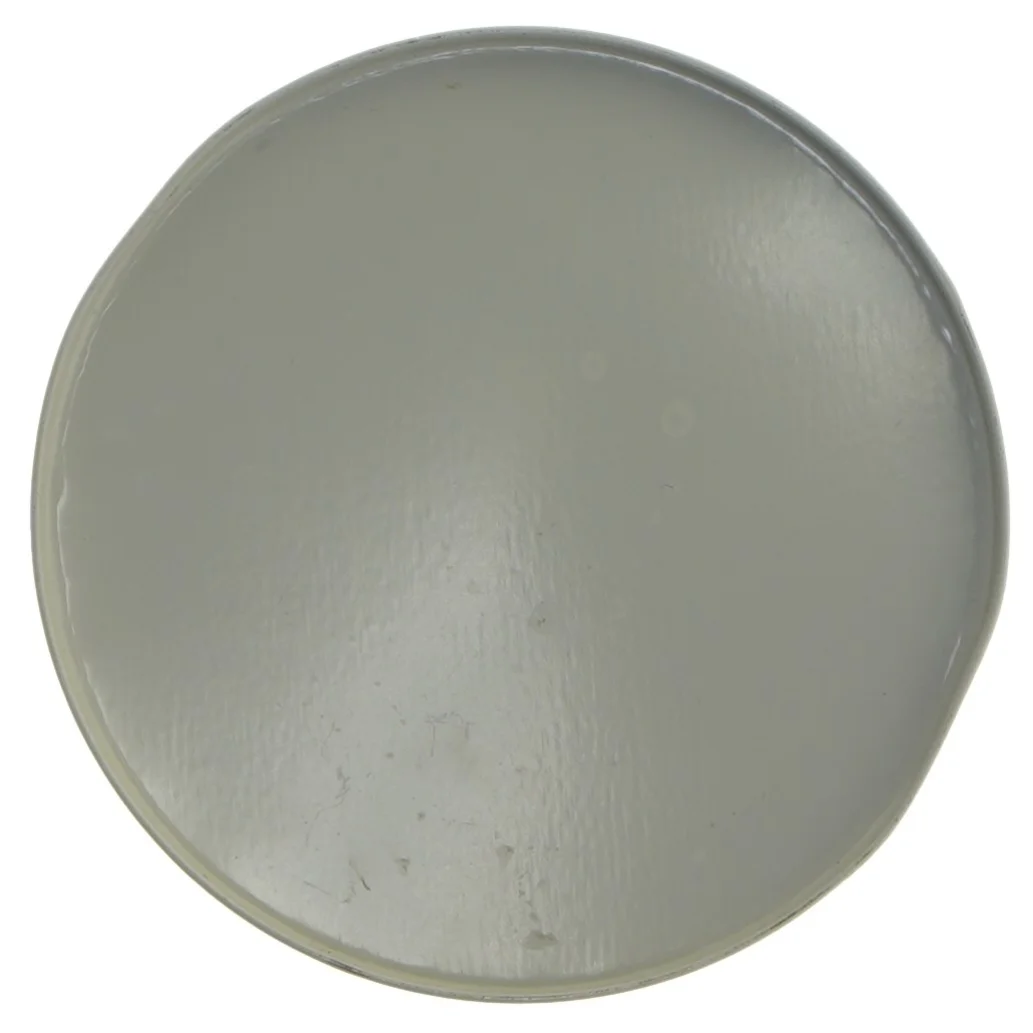 Snackdåse med låg (str. Ø 10 cm længde 20 cm)