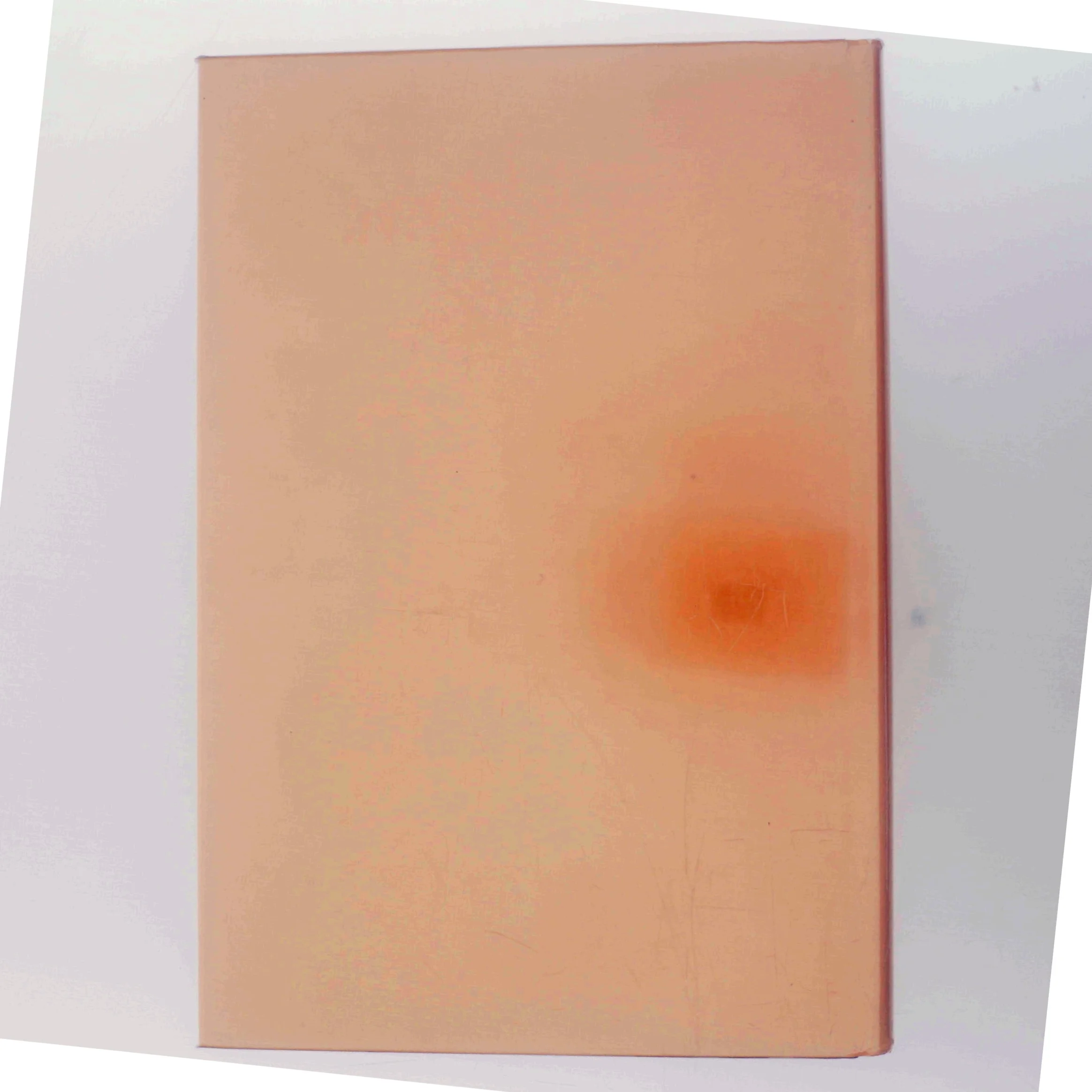 A Collector's Guide to Tea Silver 1670-1900 af Elizabeth de Castres (Bog)