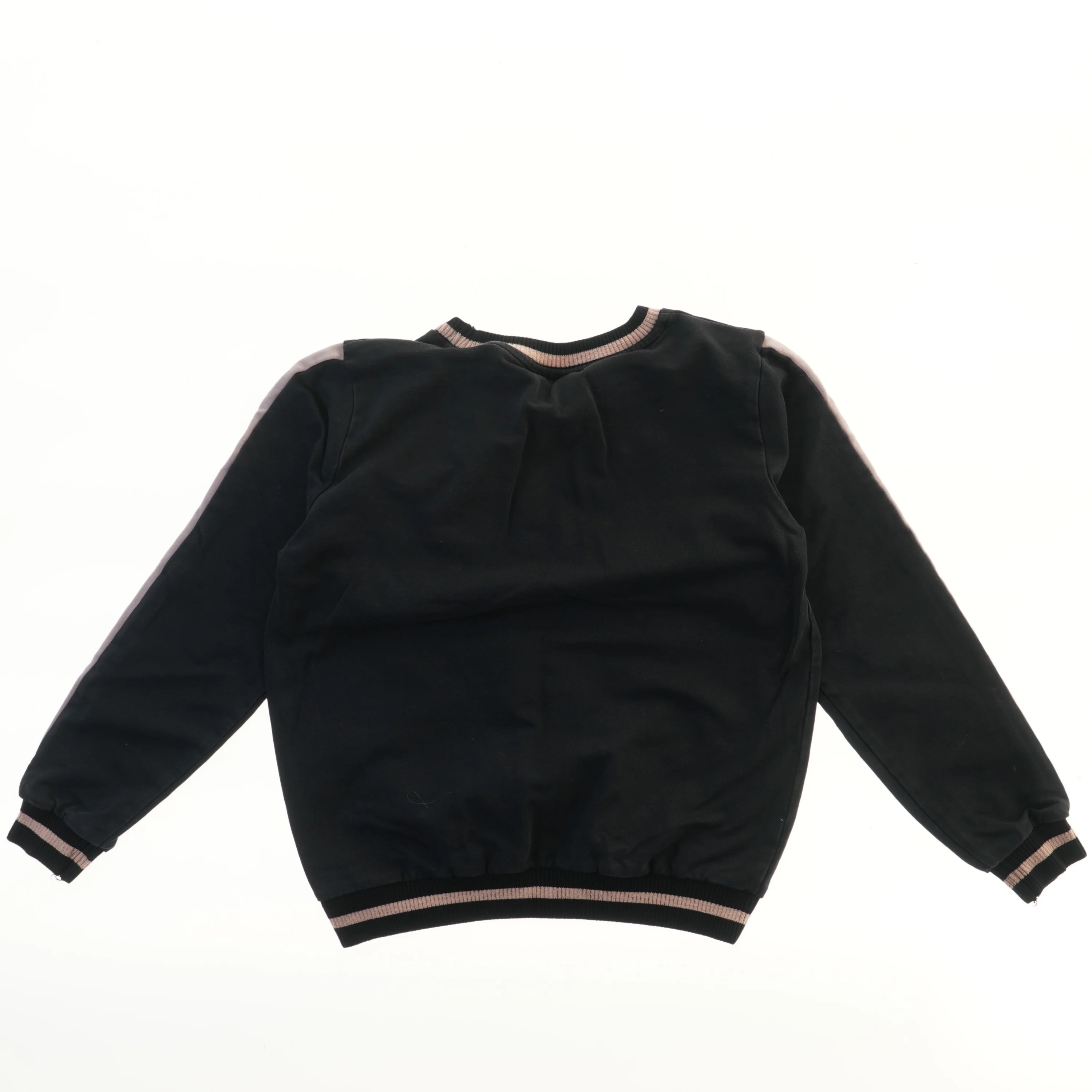 Sweatshirt med fuglemotiv fra Petit (str. 152)