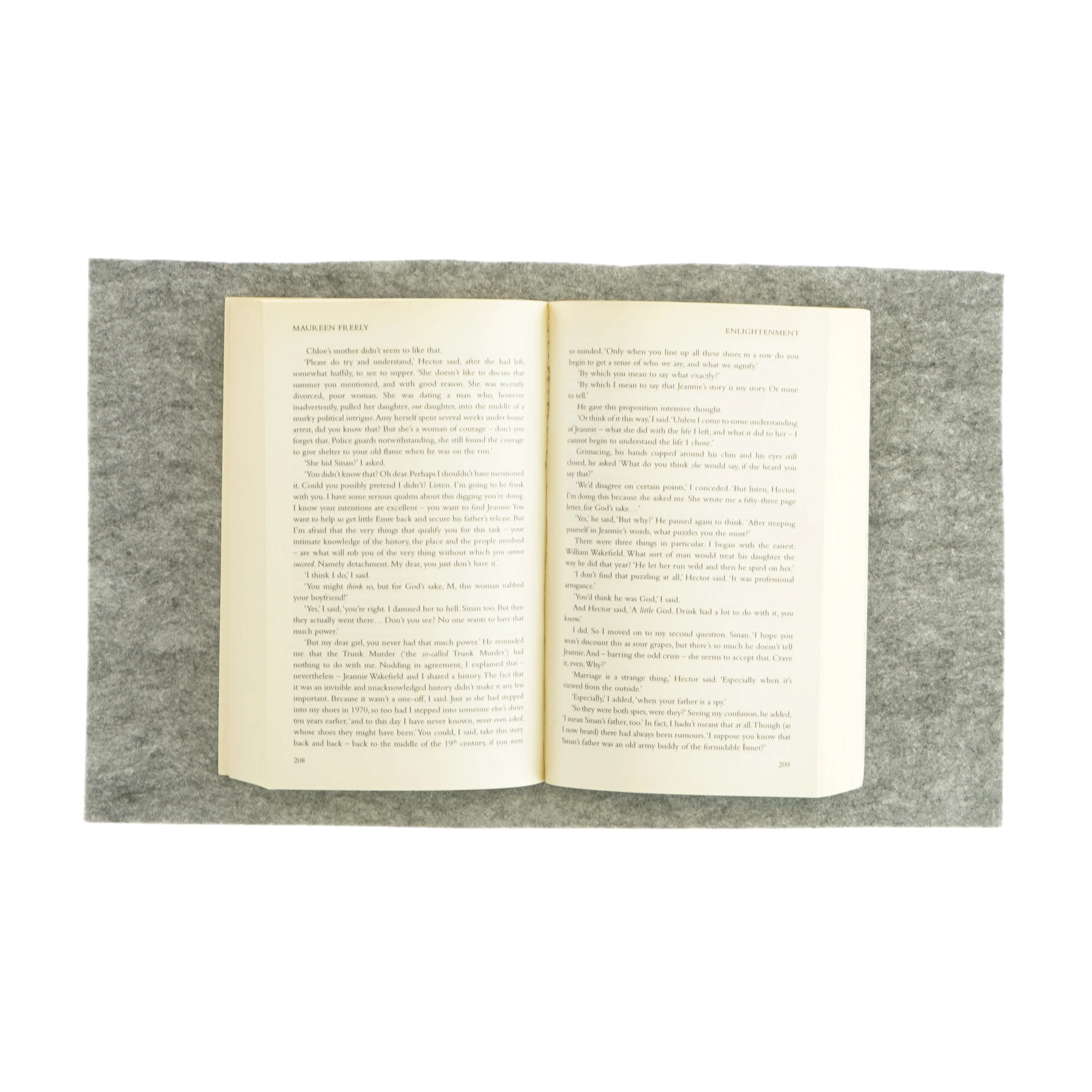 Enlightenment af Maureen Freely (bog)