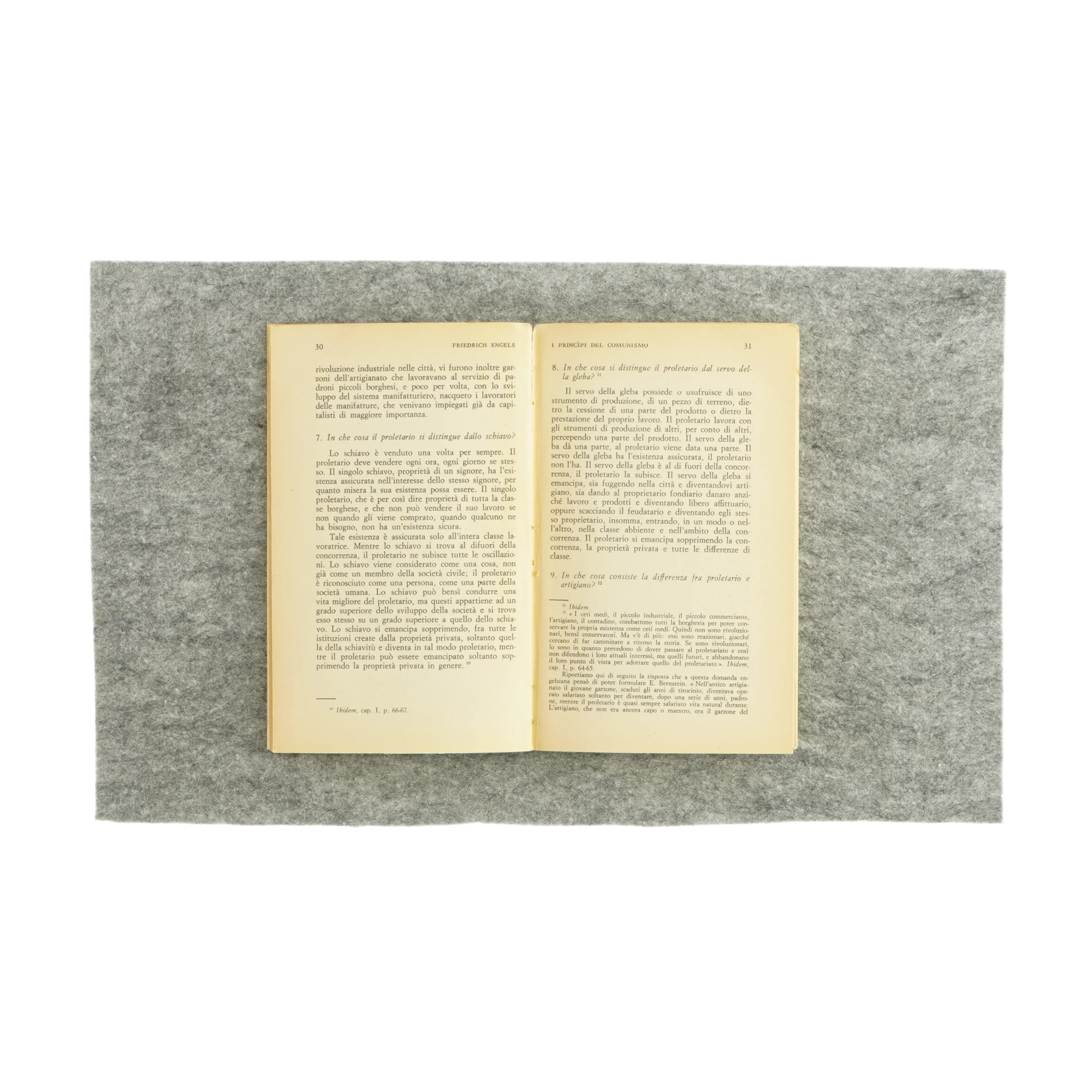 Engels i principi del comunismo (bog)