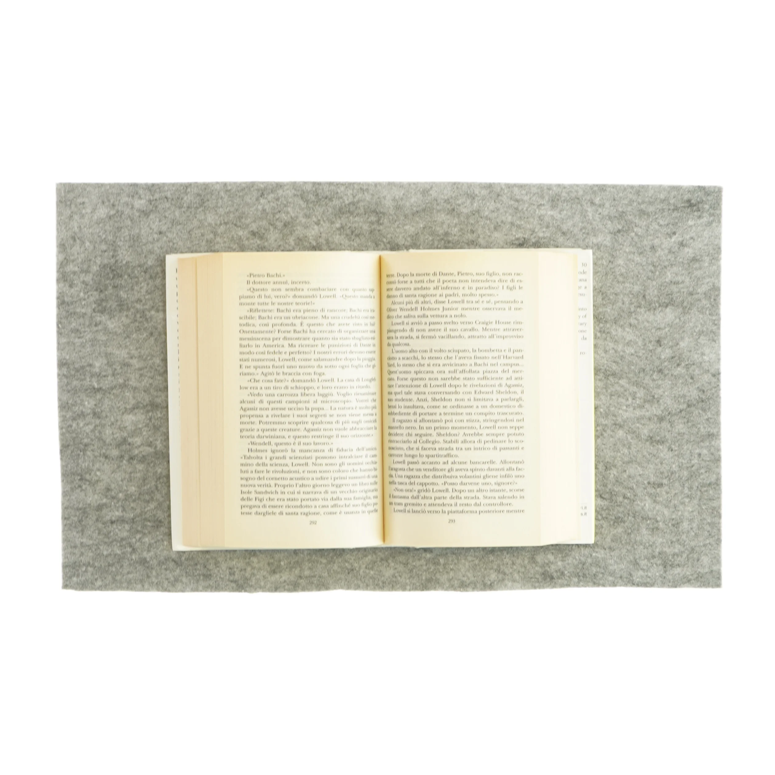 If circolo dante af Matthew Pearl (bog)