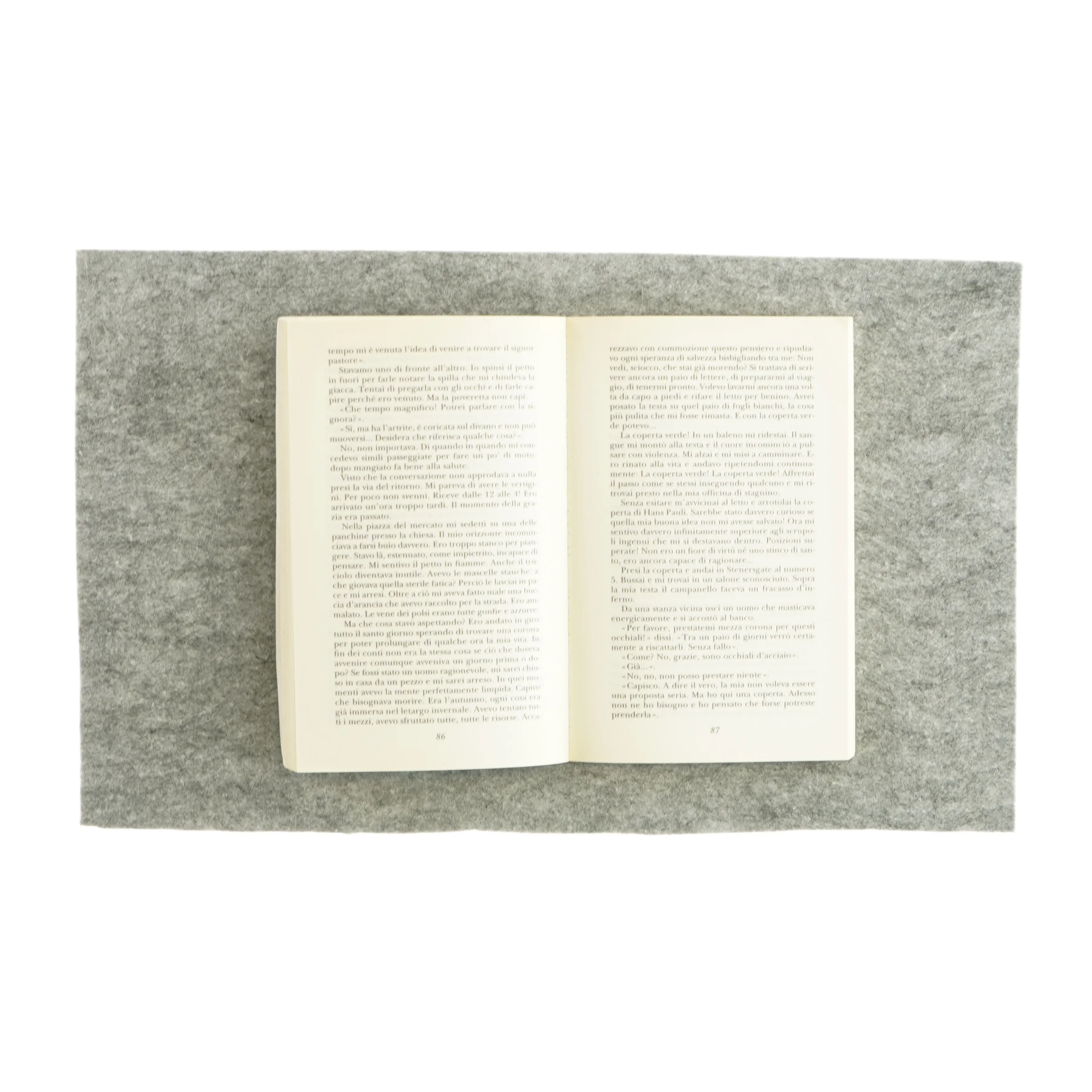 Fame af Knut Hamsun (bog) 