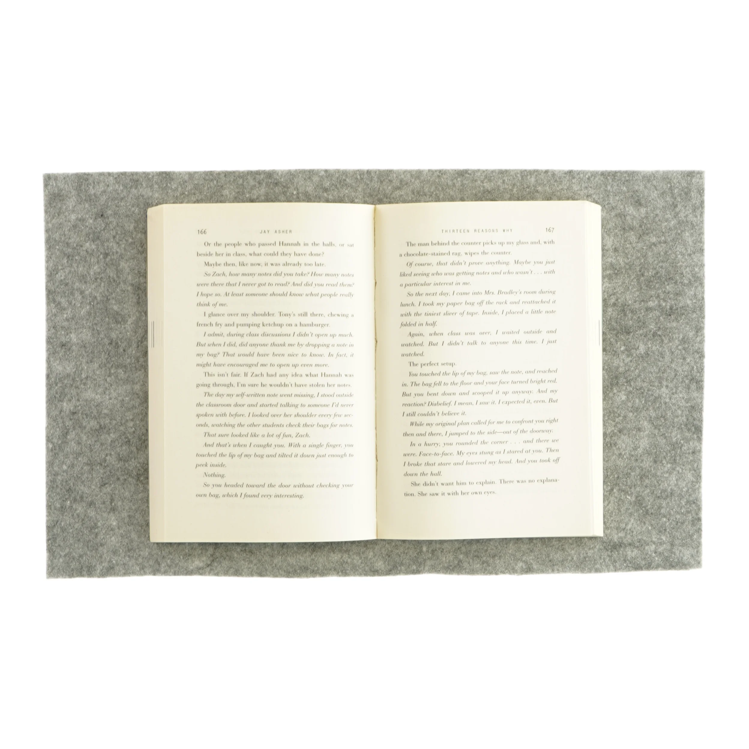 Thirteen reasons why af Jay Asher (bog)