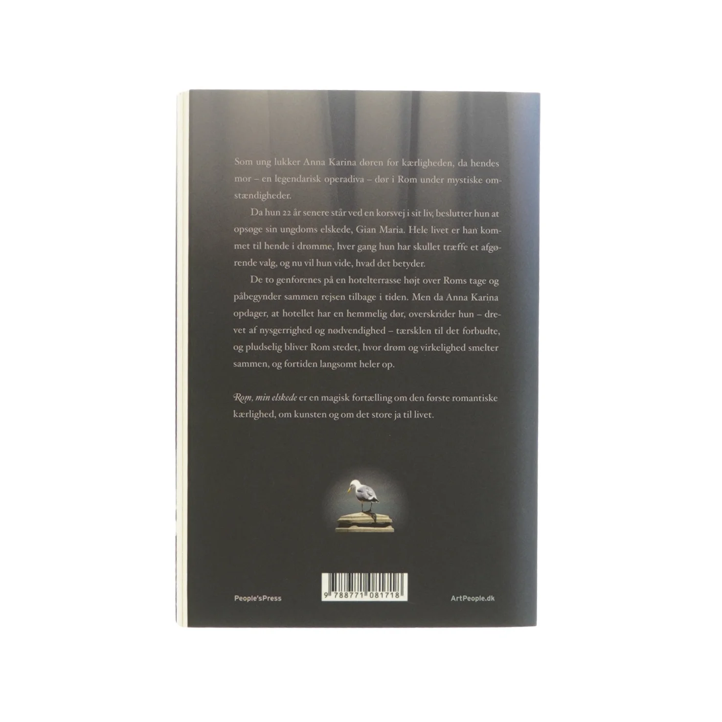 Rom min elskede af majbritte ulrikkeholm (bog)