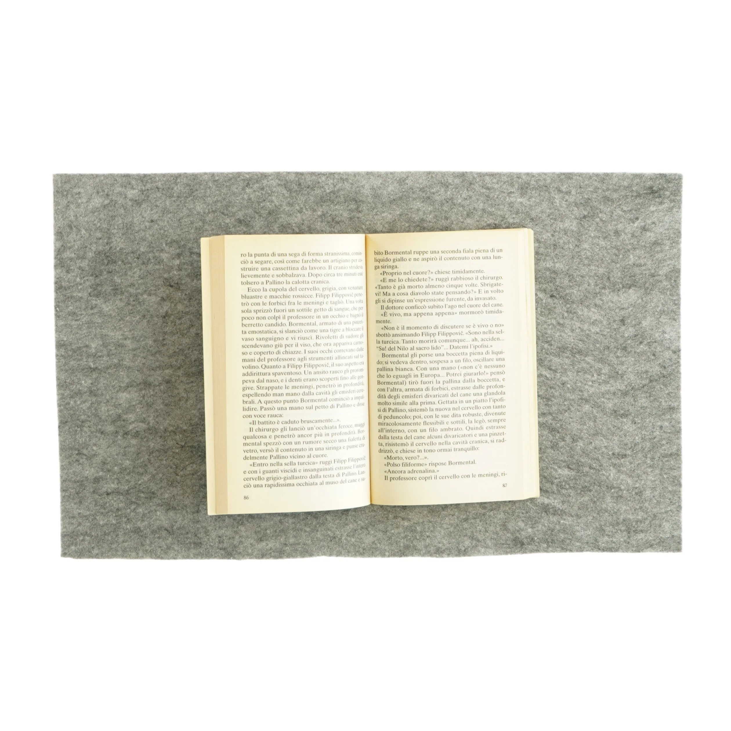 Cuore Di cane af Michail A. Bulgakov (bog) 