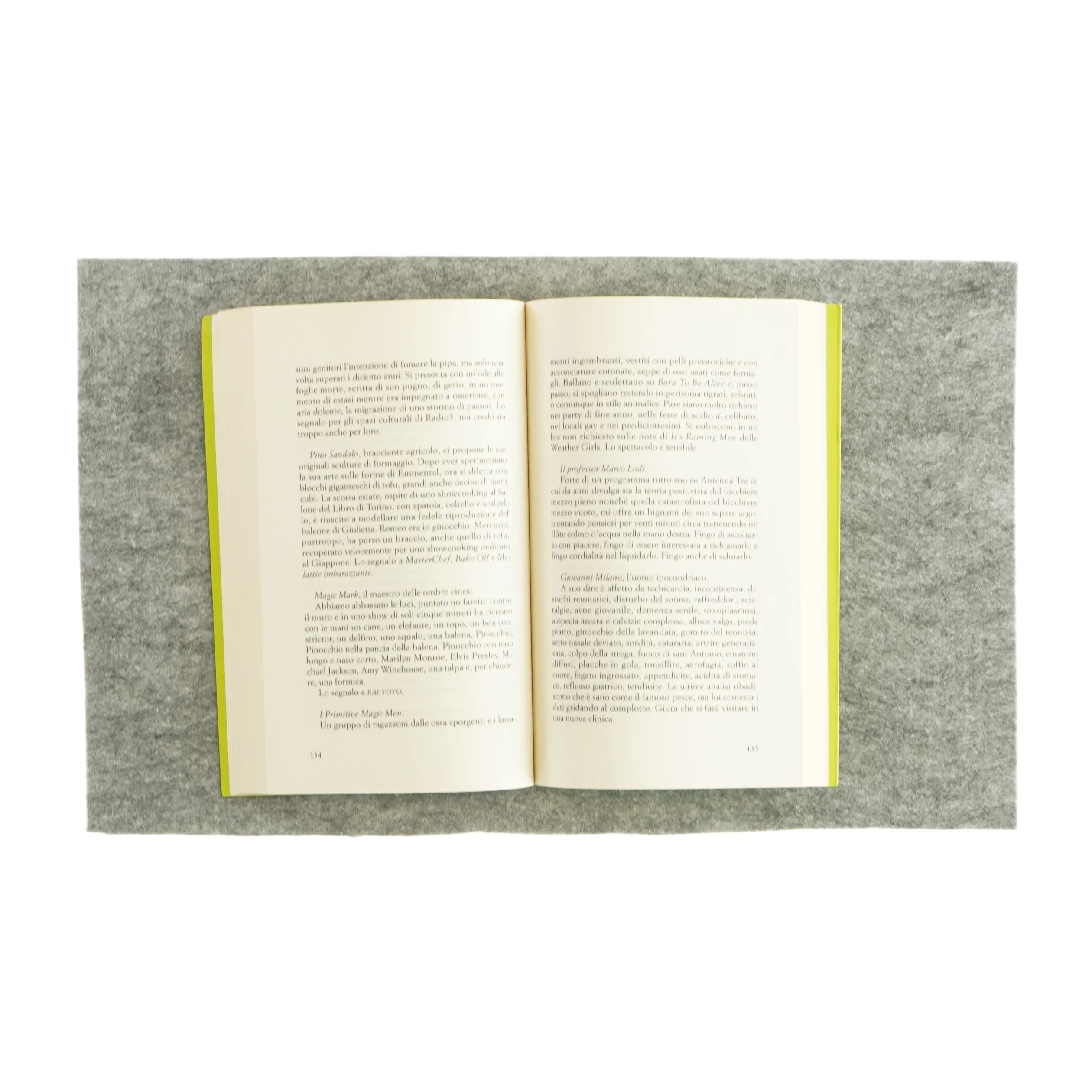 Heidi af Francesco Muzzopappa (bog)