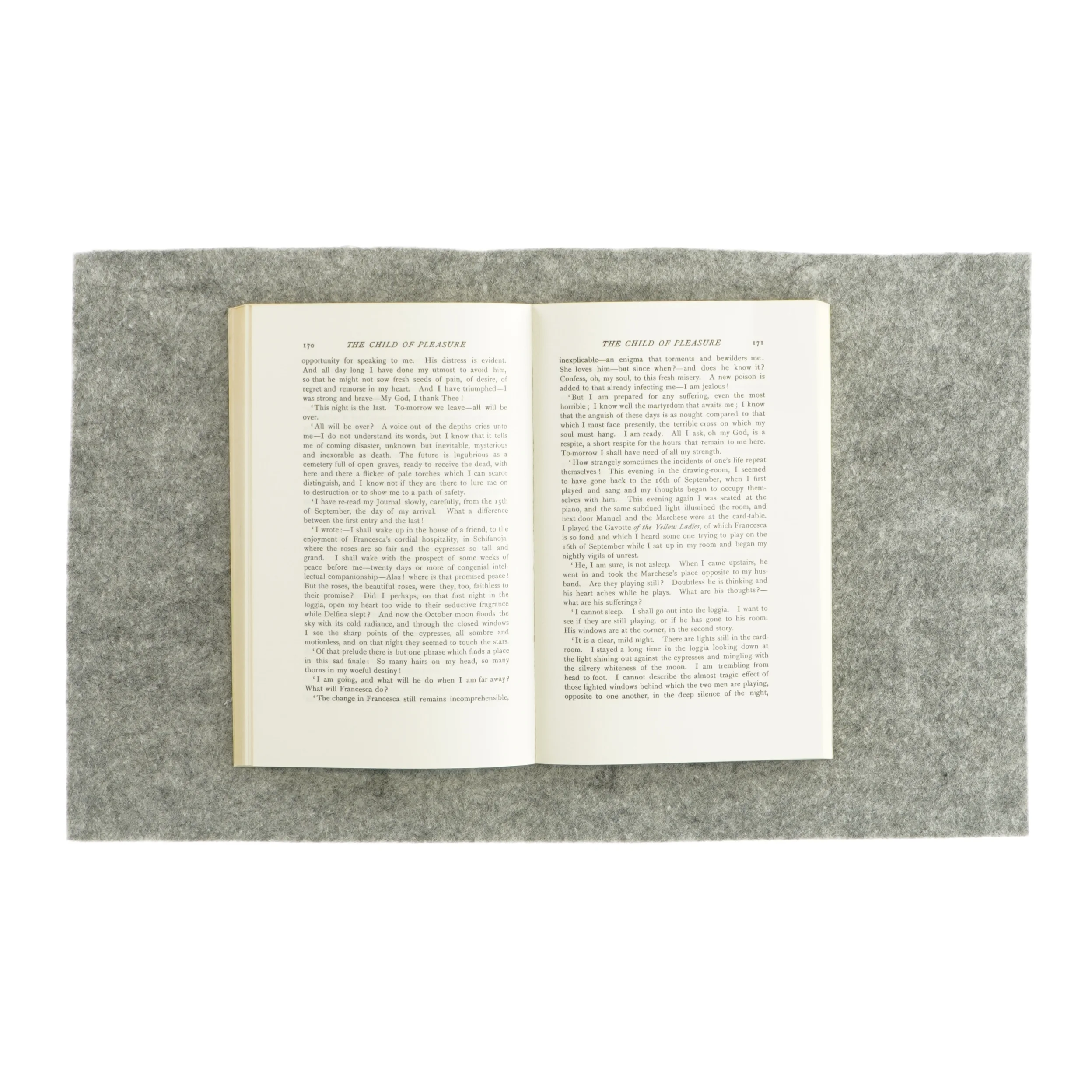 The child of pleasure af Gabriele D'Annunzio (bog)