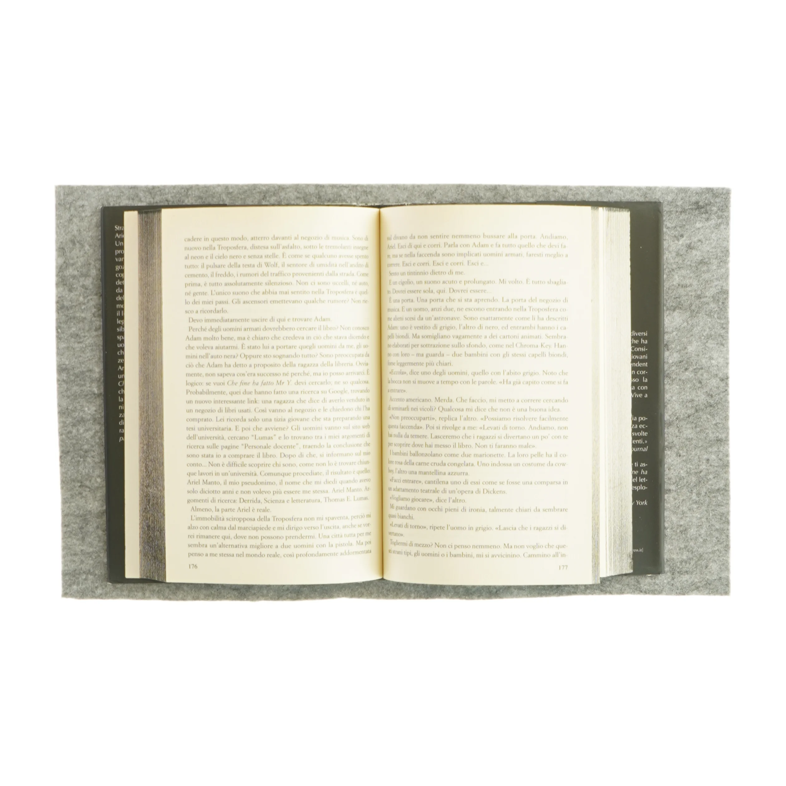 Che fine ha fatto Mr. Y af Scarlett Thomas (bog)