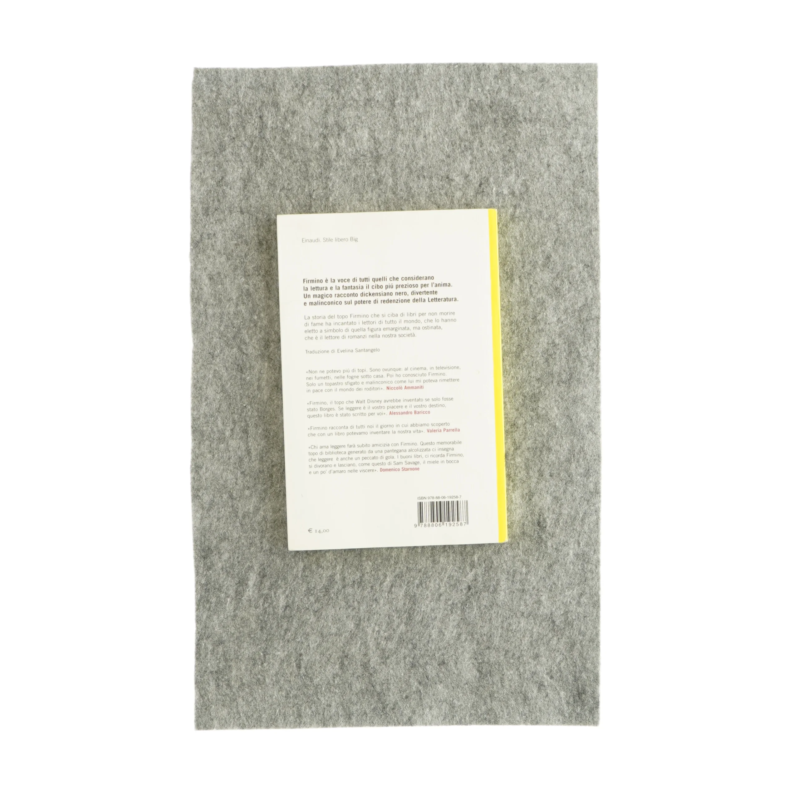 Firmino af Sam Savage (bog)